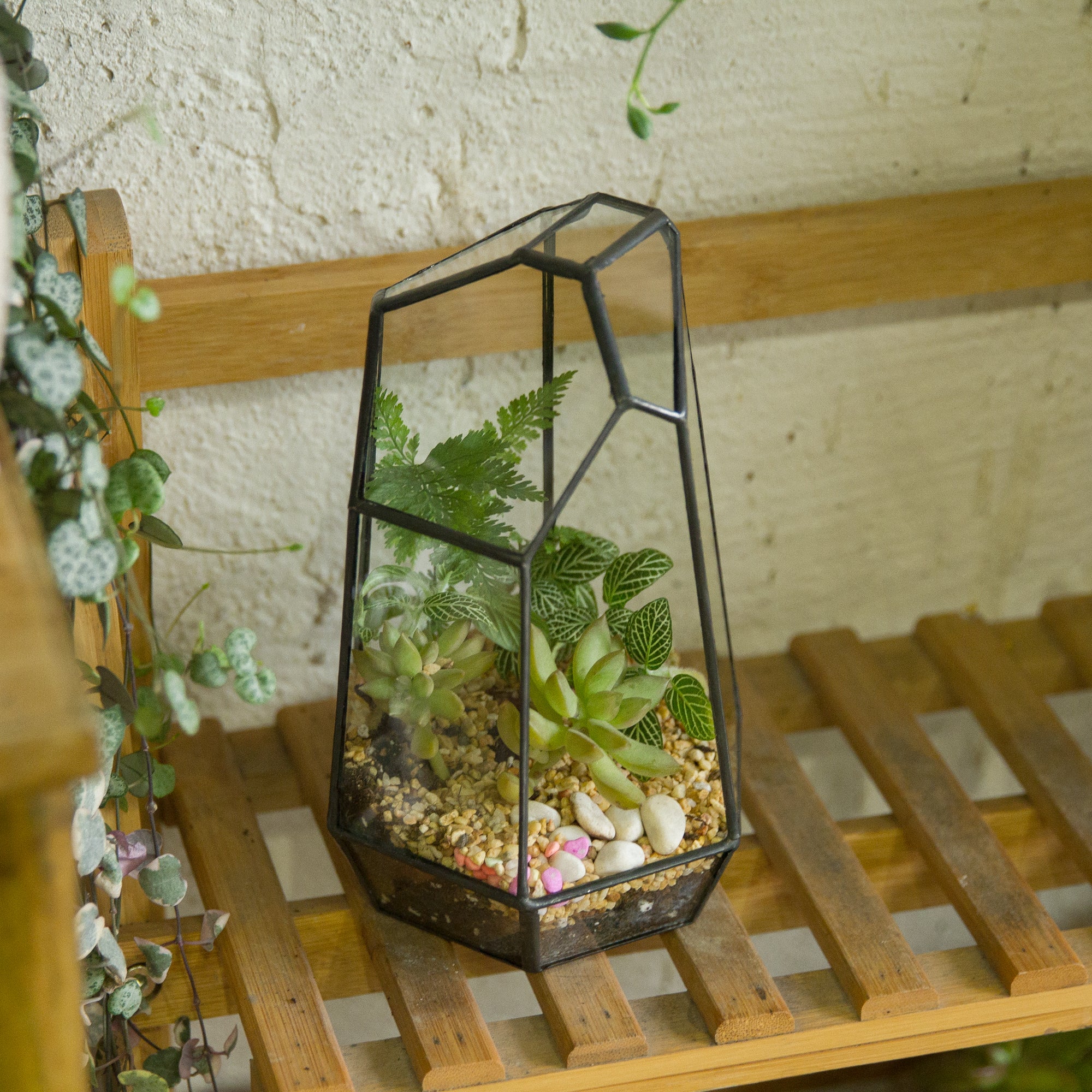 Handmade Irregular Tall Black Glass Geometric Terrarium for Succulents Moss Airplants - Medium PG01A2 - NCYPgarden