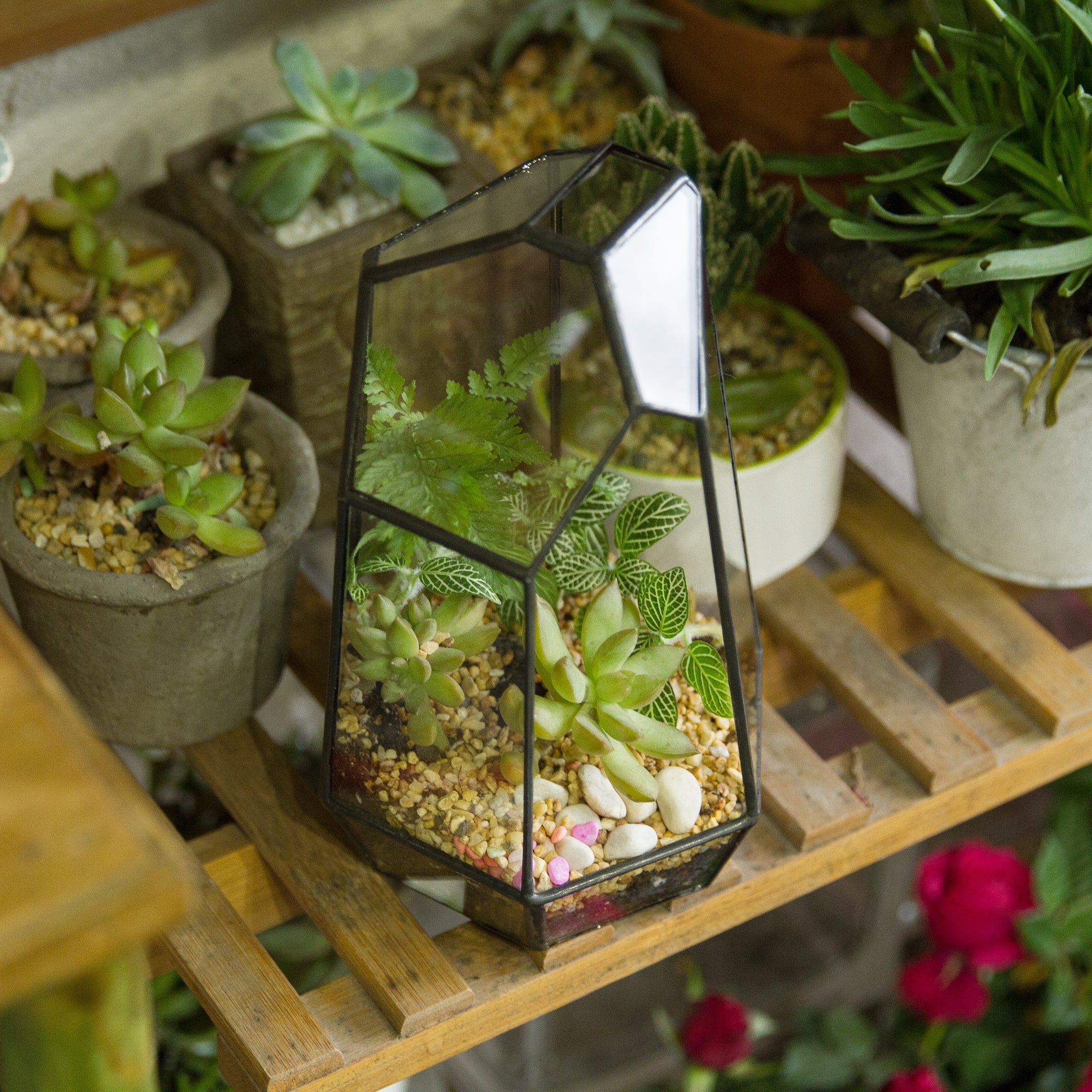 Handmade Irregular Tall Black Glass Geometric Terrarium for Succulents Moss Airplants - Medium PG01A2 - NCYPgarden