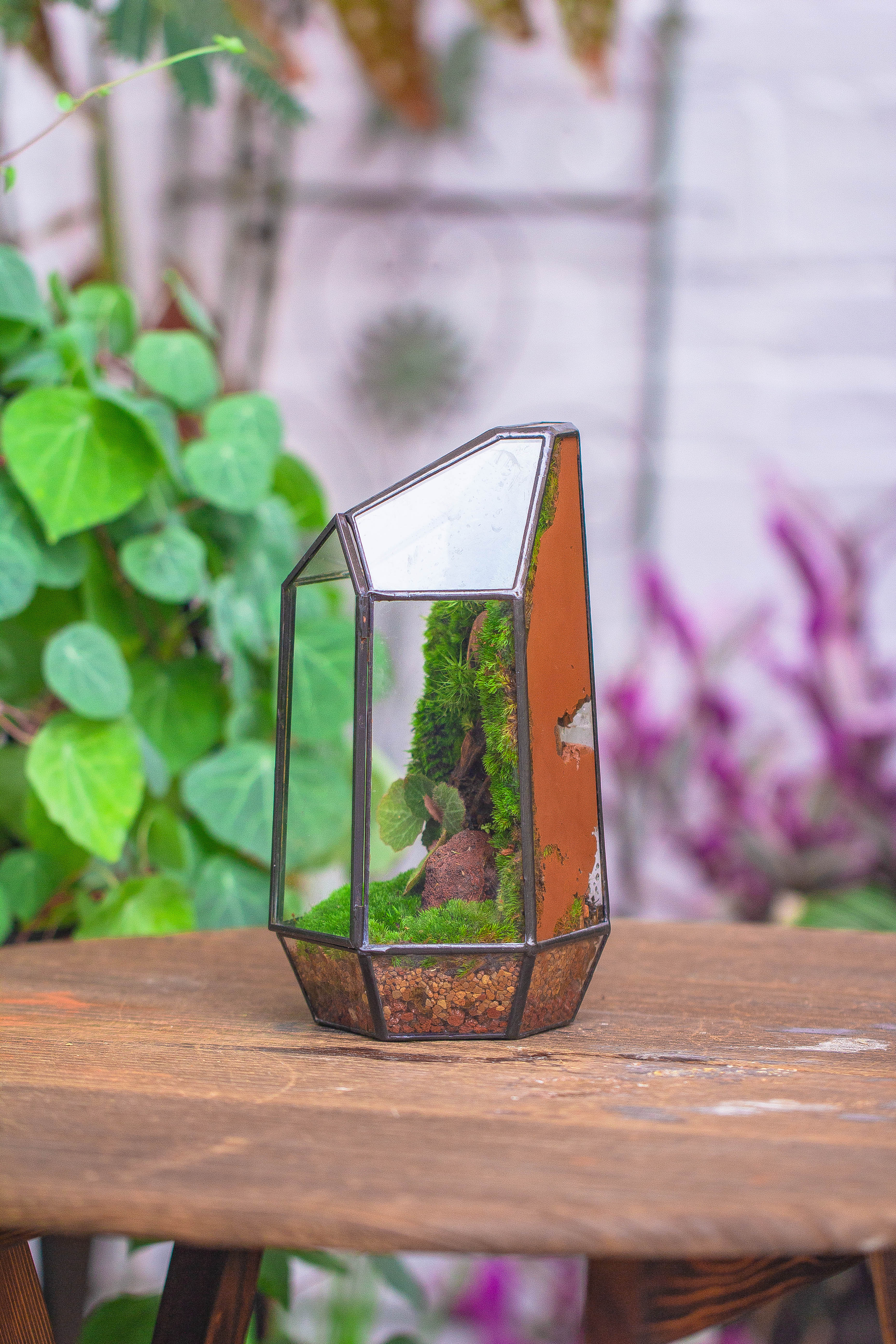 Rain Forest Sticky Red Dirt Soil for DIY Moss Wall, Plant Moss / plants on the Wall, vertical landscape, vivarium, Terrarium - NCYPgarden