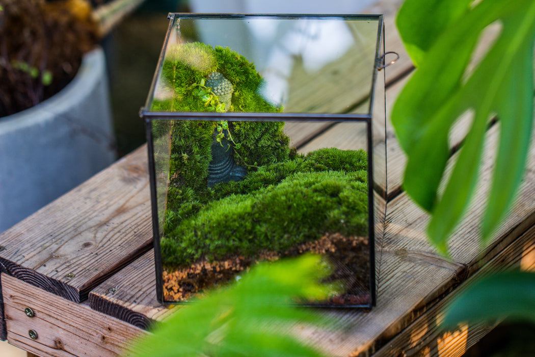 NCYP Close Geometric Glass Terrarium with Door, Tin Sealed Cube 5.9 inches Planter Succulent Cacti Fern Flower Pot - NCYPgarden