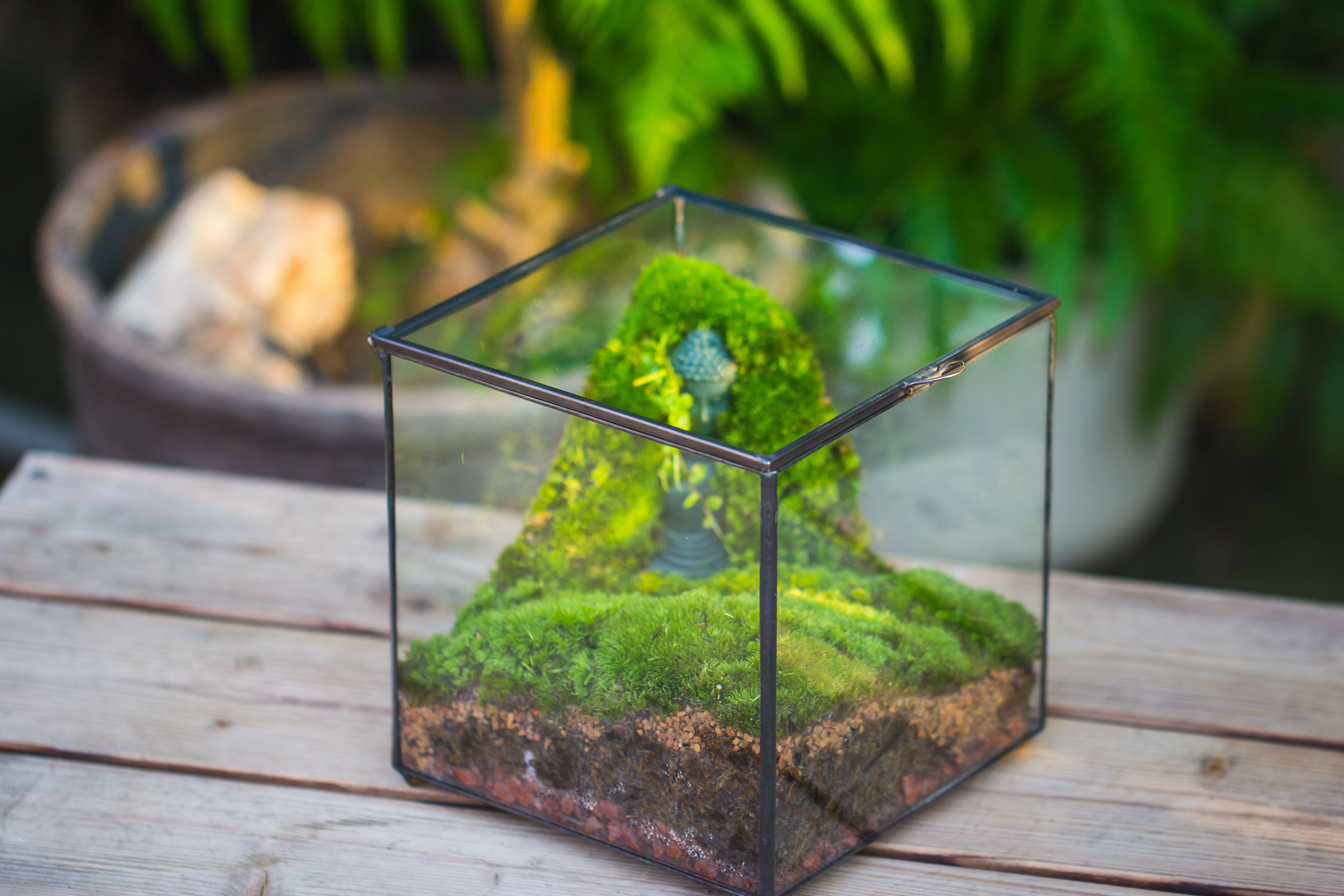 NCYP Close Geometric Glass Terrarium with Door, Tin Sealed Cube 5.9 inches Planter Succulent Cacti Fern Flower Pot - NCYPgarden