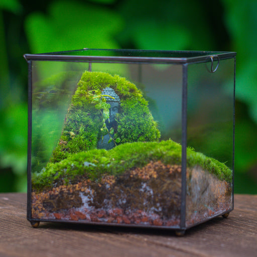 NCYP Close Geometric Glass Terrarium with Door, Tin Sealed Cube 5.9 inches Planter Succulent Cacti Fern Flower Pot - NCYPgarden