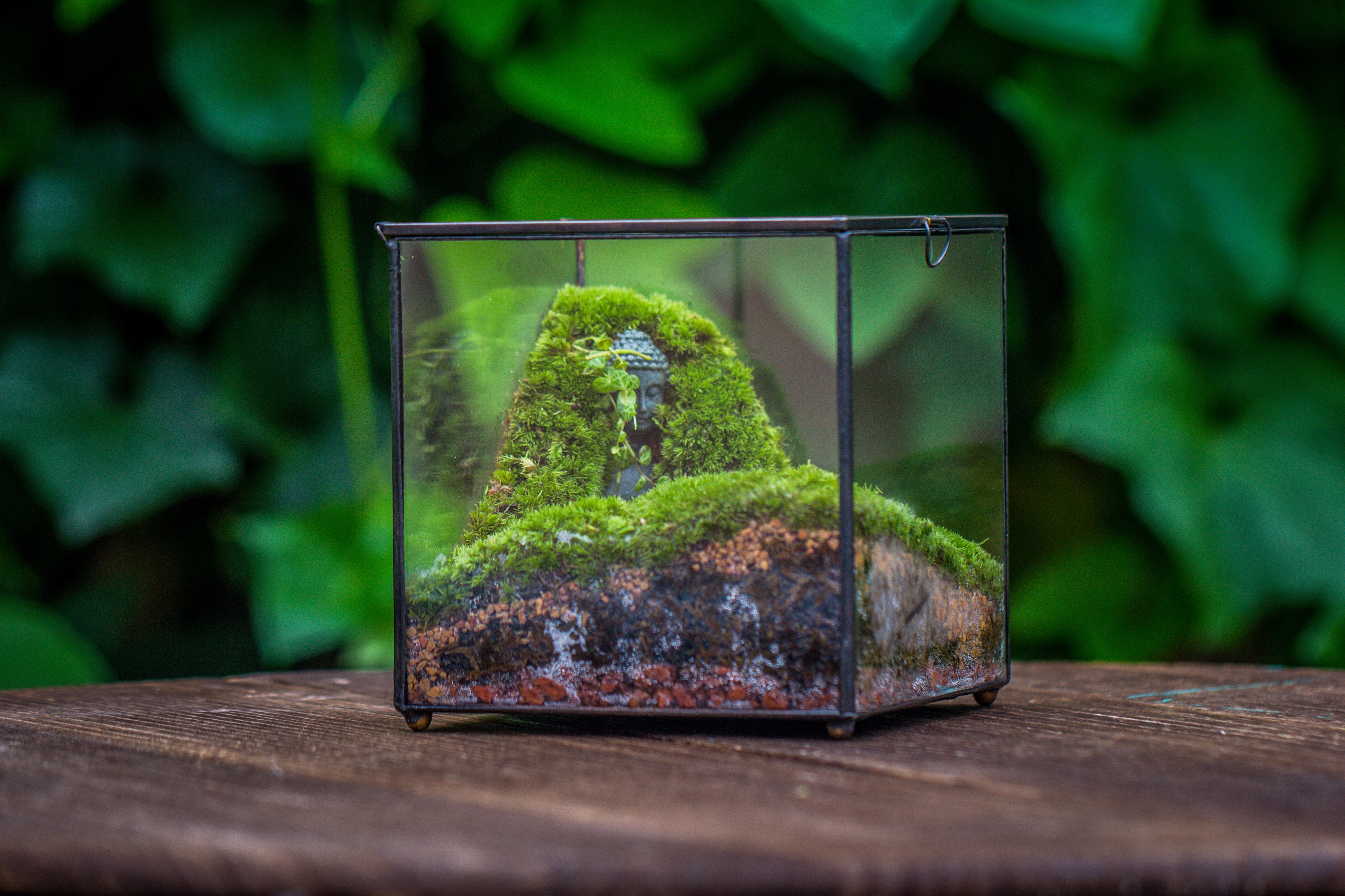 NCYP Close Geometric Glass Terrarium with Door, Tin Sealed Cube 5.9 inches Planter Succulent Cacti Fern Flower Pot - NCYPgarden