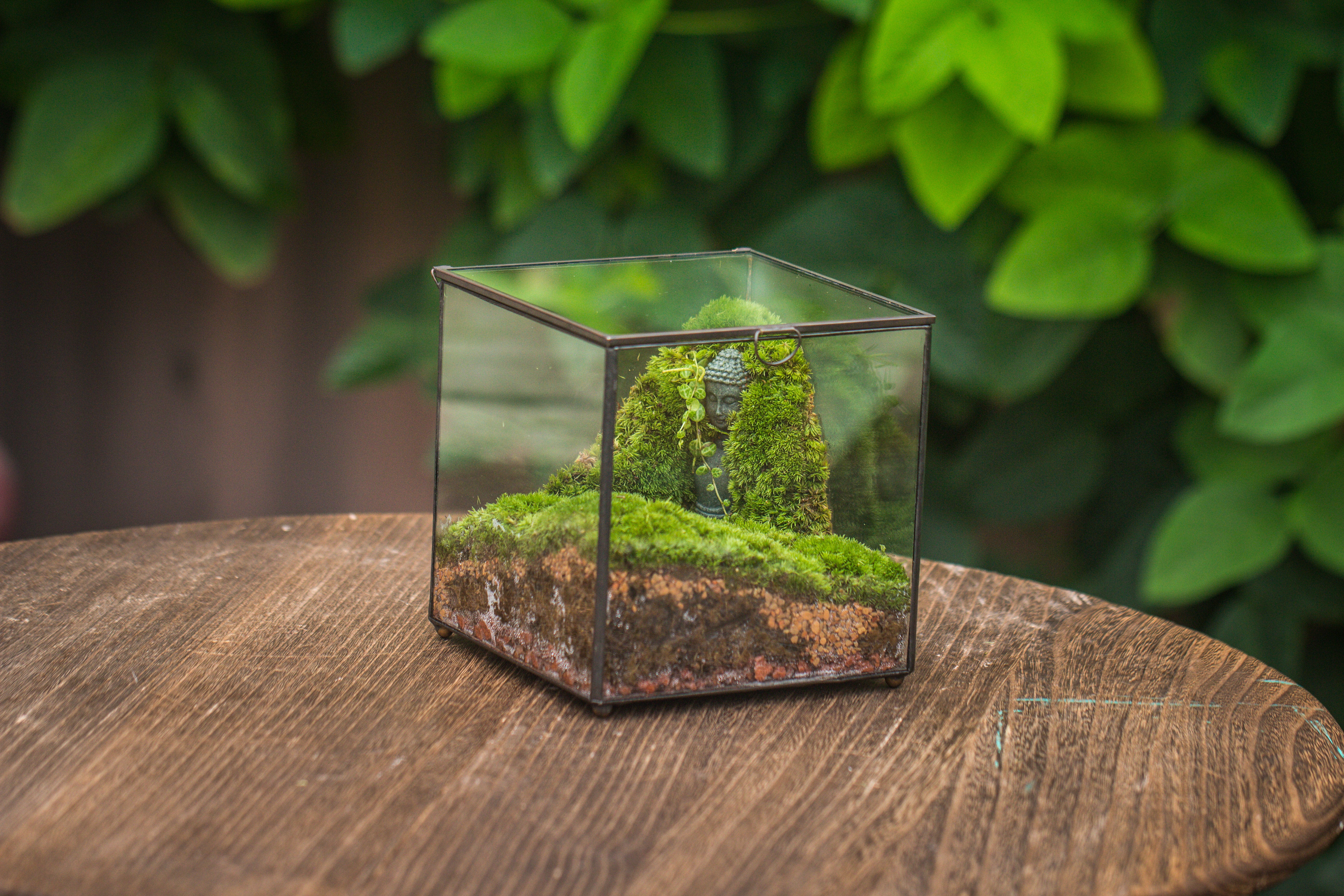 NCYP Close Geometric Glass Terrarium with Door, Tin Sealed Cube 5.9 inches Planter Succulent Cacti Fern Flower Pot - NCYPgarden