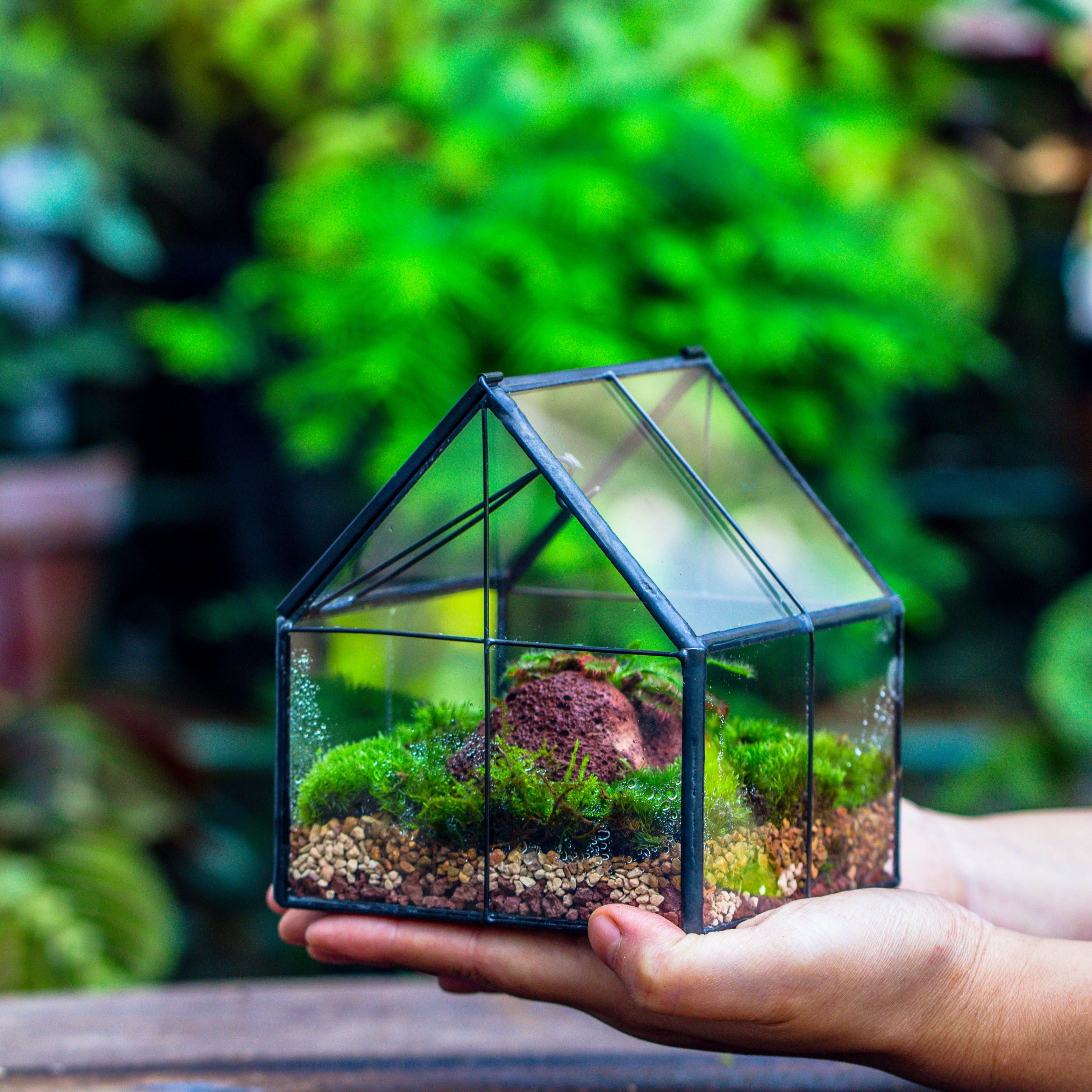 This glass terrarium encases biologically inactive moss to create an indoor  garden without the upkeep! - Yanko Design