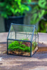 Handmade glass and tin close mini house shape close terrarium for moss, succulents, Drosera - NCYPgarden