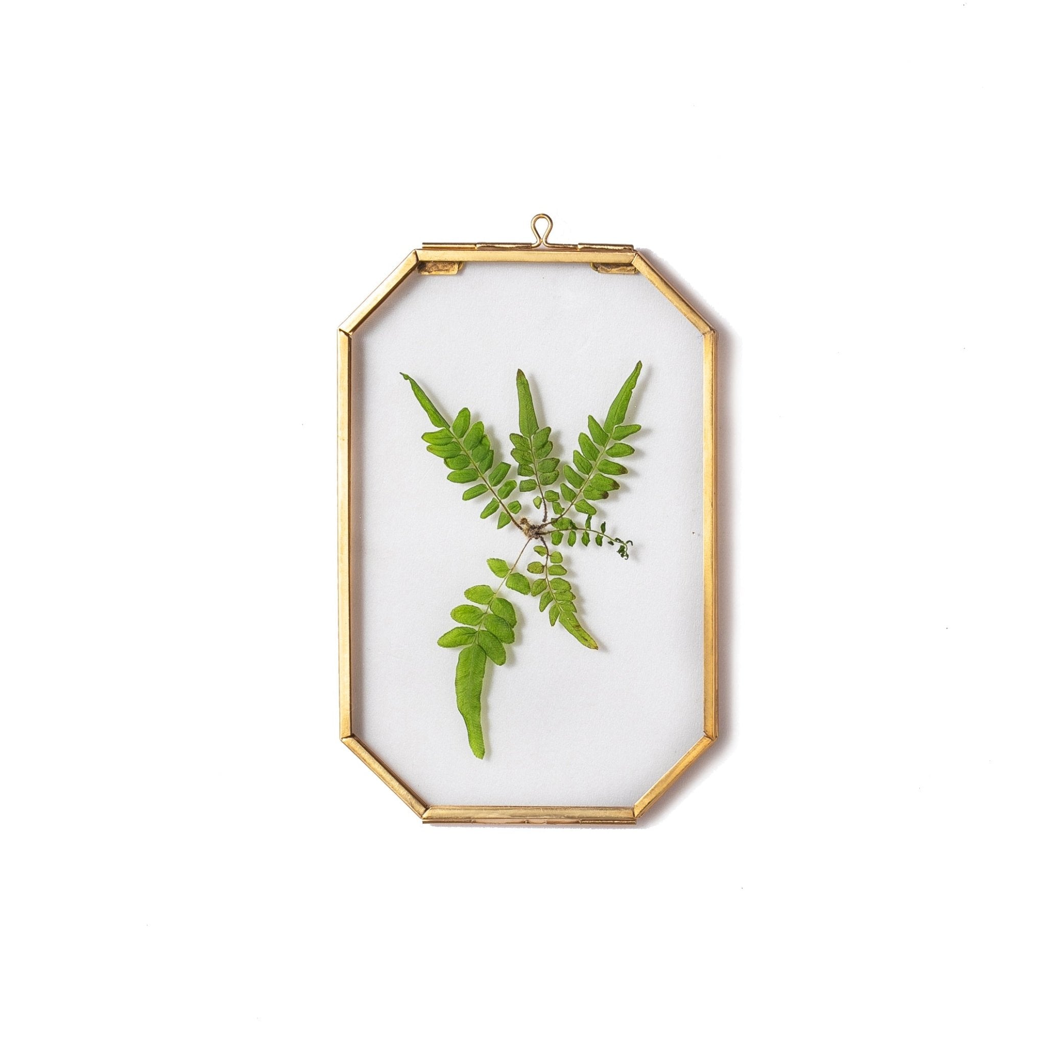 Small Wall Hanging Long Octagon Herbarium Brass Glass Frame for Pressed Flowers Dried floating Frame FO01T1 - NCYPgarden