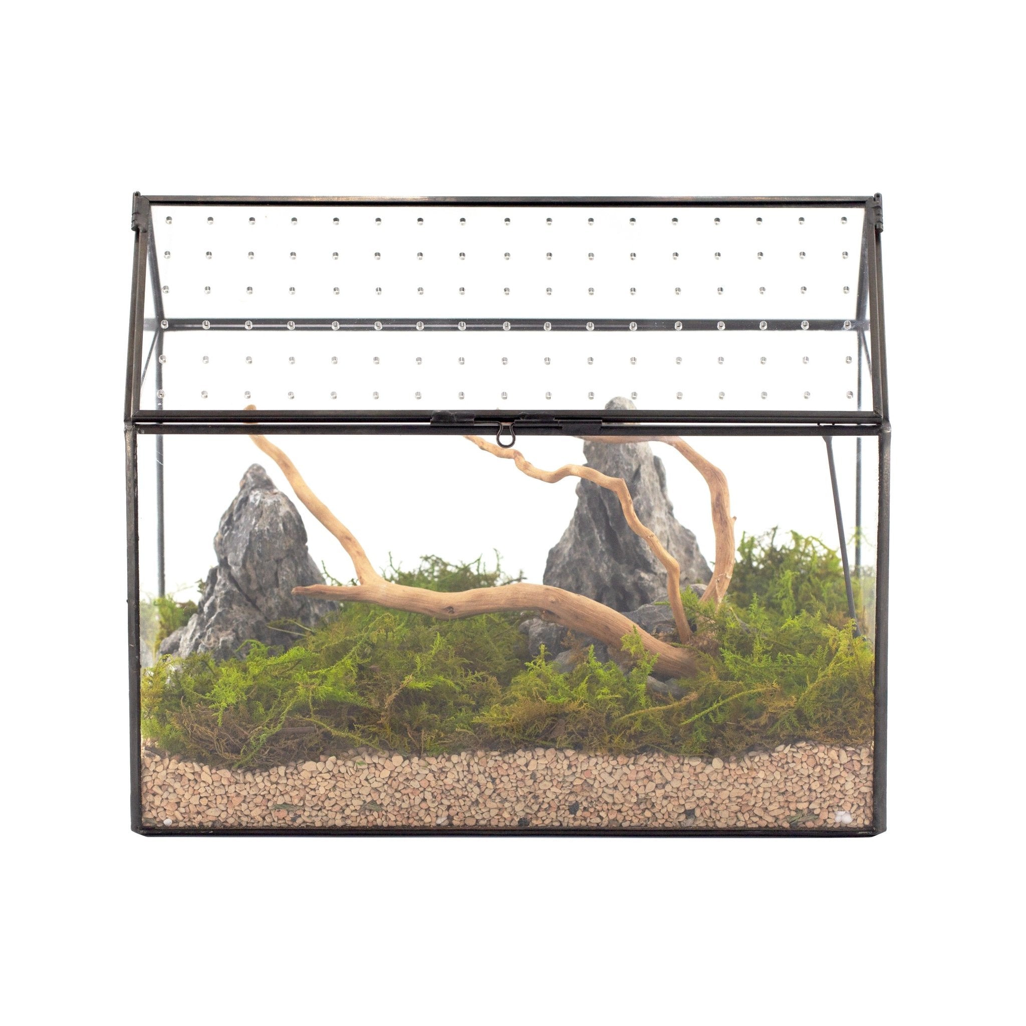 Handmade Close House - shaped Glass Terrarium Enclosure, with Acrylic Mesh Vent, for Jumping Spider, Snail Habitat, Terrarium Only PH04G2 - NCYPgarden