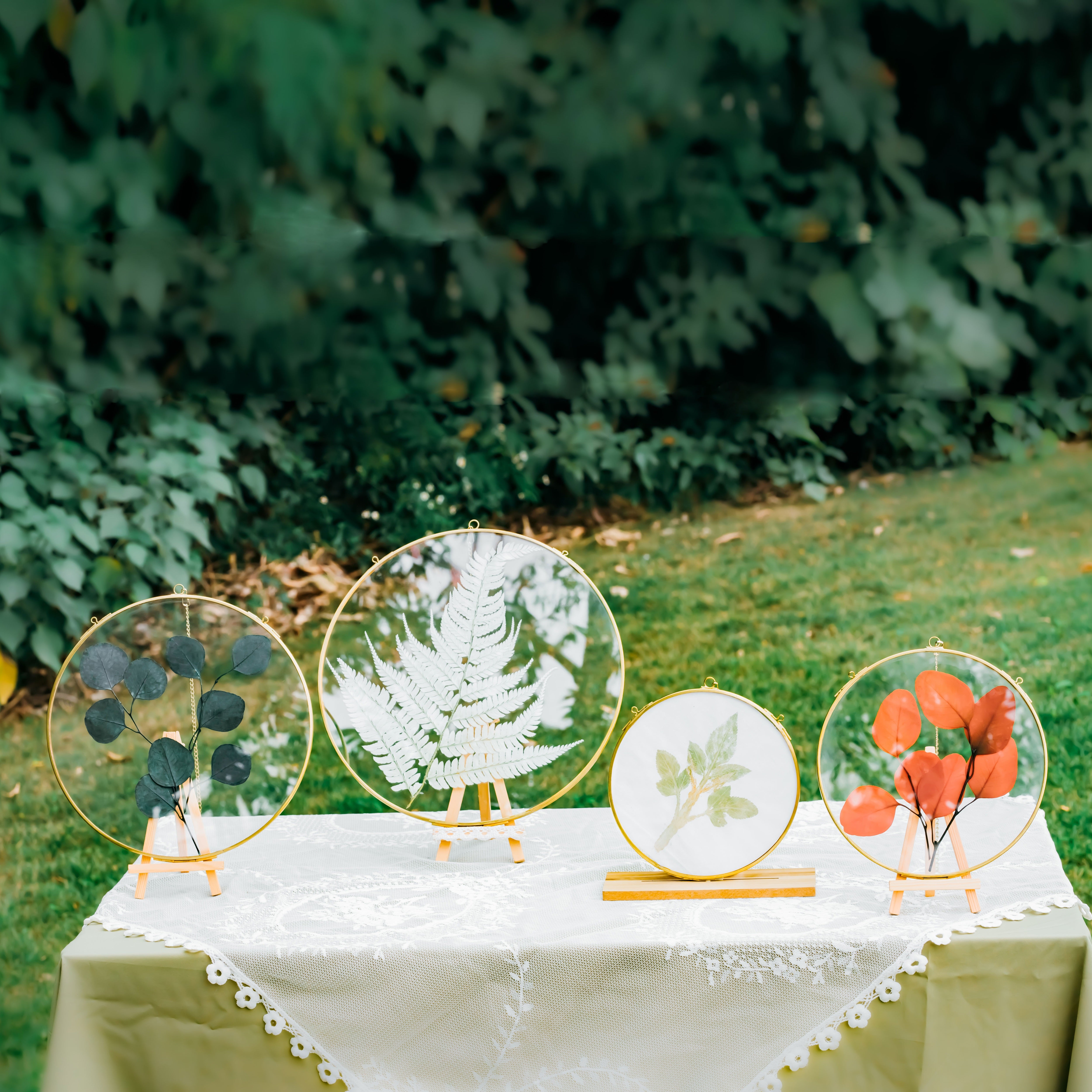 NCYP Wall Hanging Round 8" 10" 12" Herbarium Brass Glass Frame for Pressed Flowers, Poster, Double Glass, floating Frame - NCYPgarden