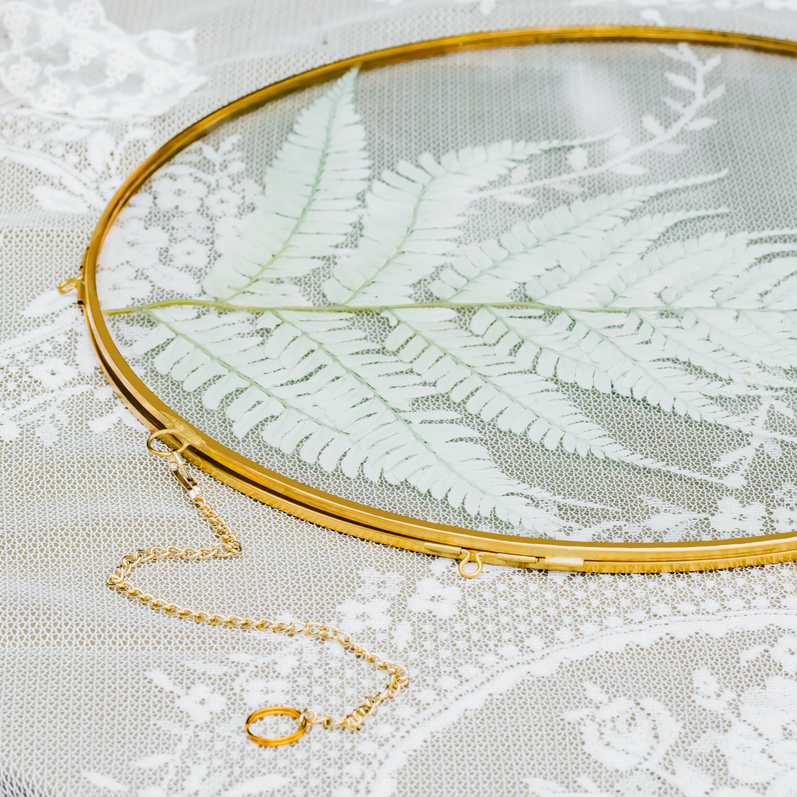 NCYP Wall Hanging Round 8" 10" 12" Herbarium Brass Glass Frame for Pressed Flowers, Poster, Double Glass, floating Frame - NCYPgarden