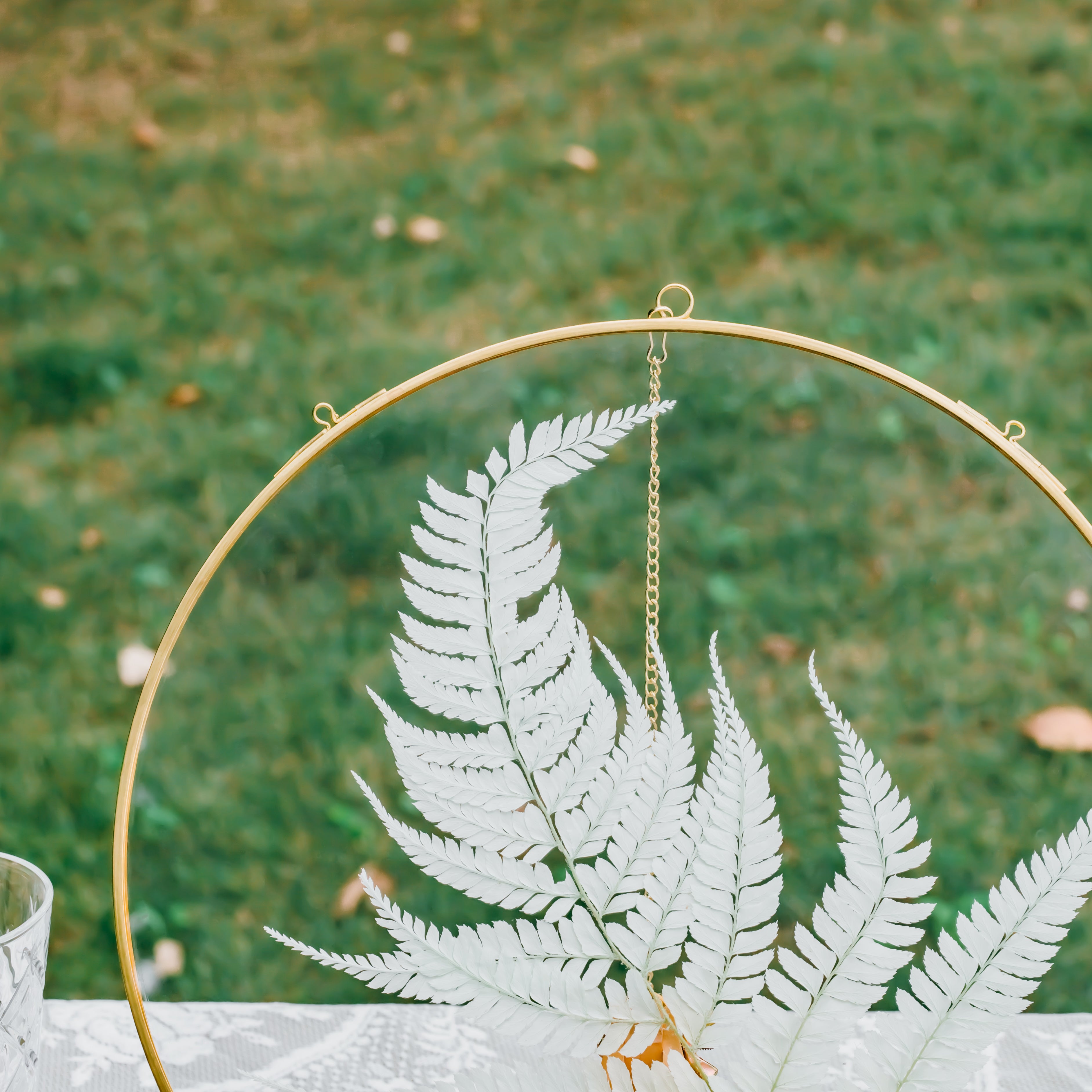 Round 6", 7" 10" 12" gold herbarium brass glass frame, Brass and Glass - NCYPgarden