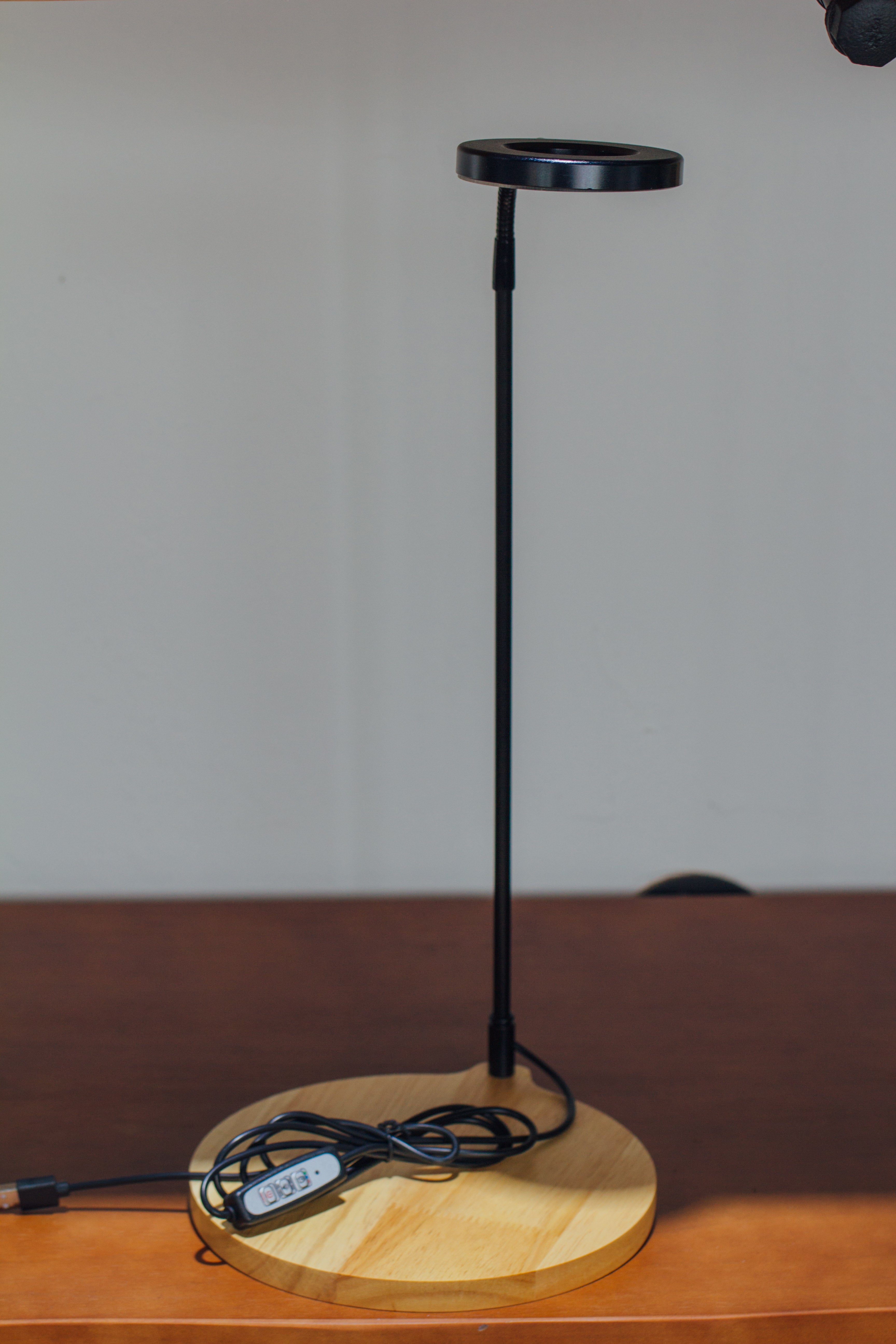 NCYP Customizable Tabletop Natural Wood Round Board LED Grow Display Light Indoor 10W for Terrarium Succulent Fern Bonsai Moss  -30cm - NCYPgarden