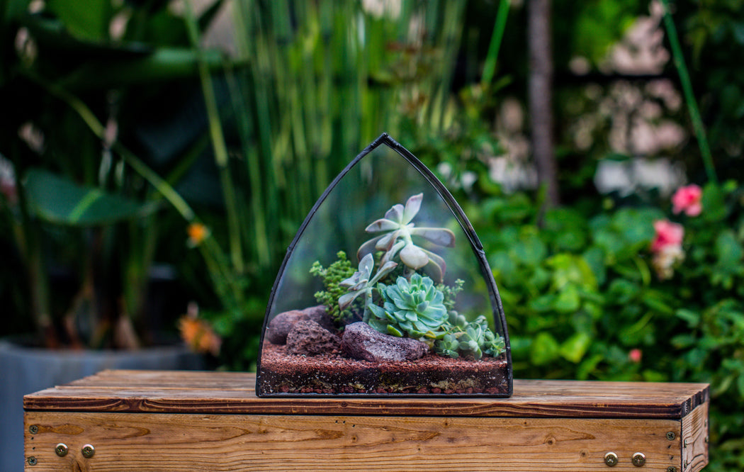 House Shape Arched Curved Roof Vintage Glass Tin Closed Terrarium, Handmade, for Moss, Miniature, Bonsai, Tropical plants - NCYPgarden