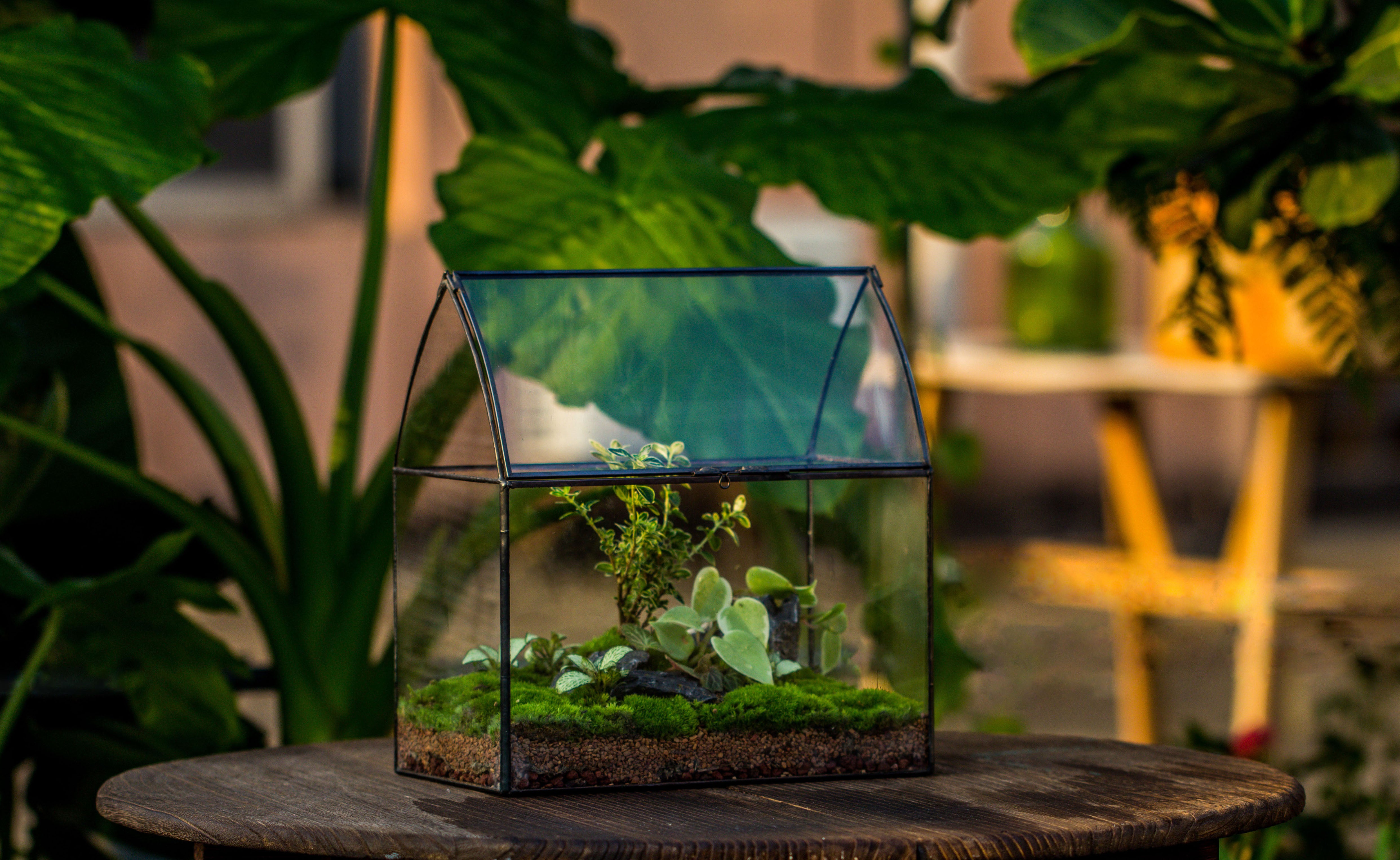 Handmade Unique Closed Terrarium with Arched Roof | HouseShape Closed Planter for Tropical Plants, Moss | Miniature Greenhouse Gift - NCYPgarden