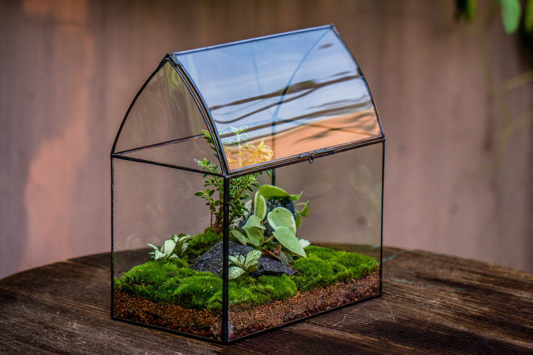 House Shape Arched Curved Roof Vintage Glass Tin Closed Terrarium, Handmade, for Moss, Miniature, Bonsai, Tropical plants - NCYPgarden