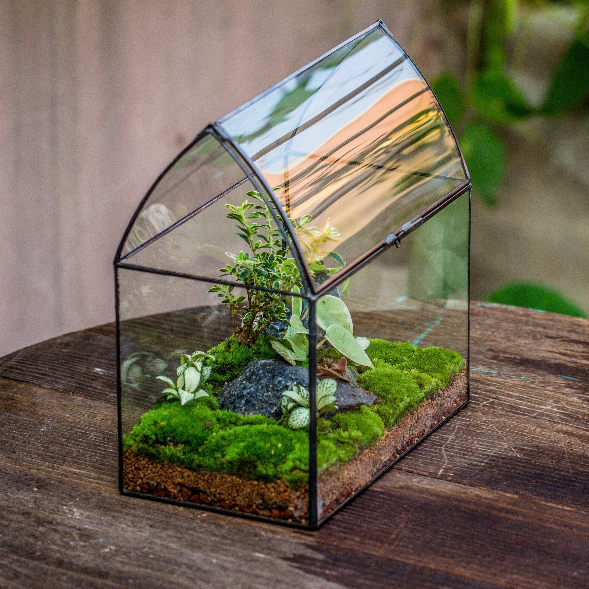 plants for small closed terrarium Handmade Unique Closed Terrarium with Arched Roof | HouseShape Closed Planter for Tropical Plants, Moss