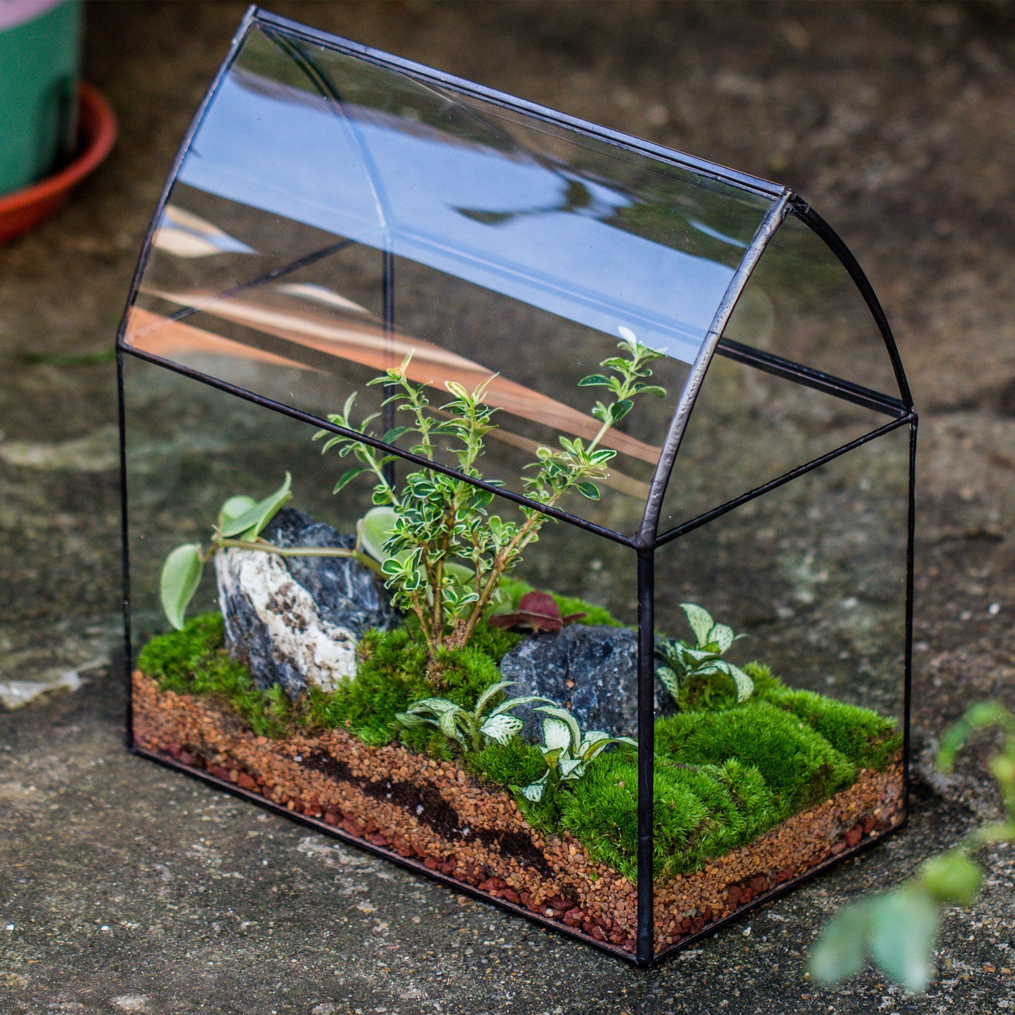 Handmade Unique Closed Terrarium with Arched Roof | HouseShape Closed Planter for Tropical Plants, Moss | Miniature Greenhouse Gift - NCYPgarden