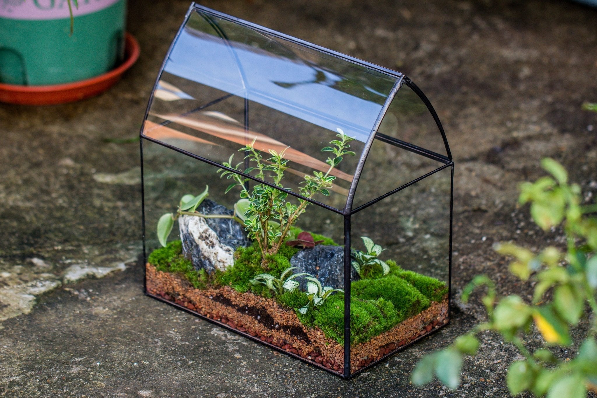 miniature plants for closed terrariums Handmade Unique Closed Terrarium with Arched Roof | HouseShape Closed Planter for Tropical Plants, Moss