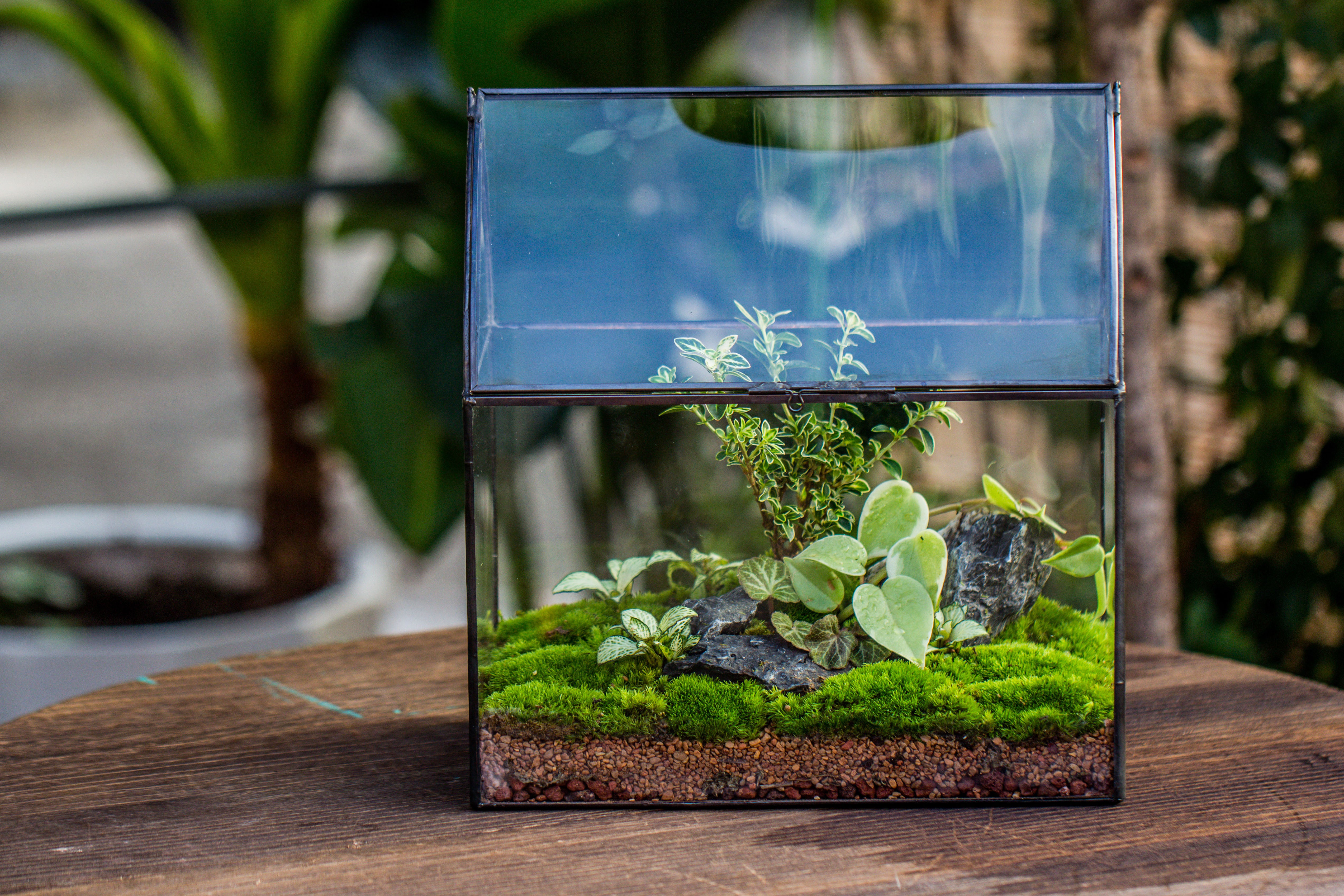 Handmade Unique Closed Terrarium with Arched Roof | HouseShape Closed Planter for Tropical Plants, Moss | Miniature Greenhouse Gift - NCYPgarden