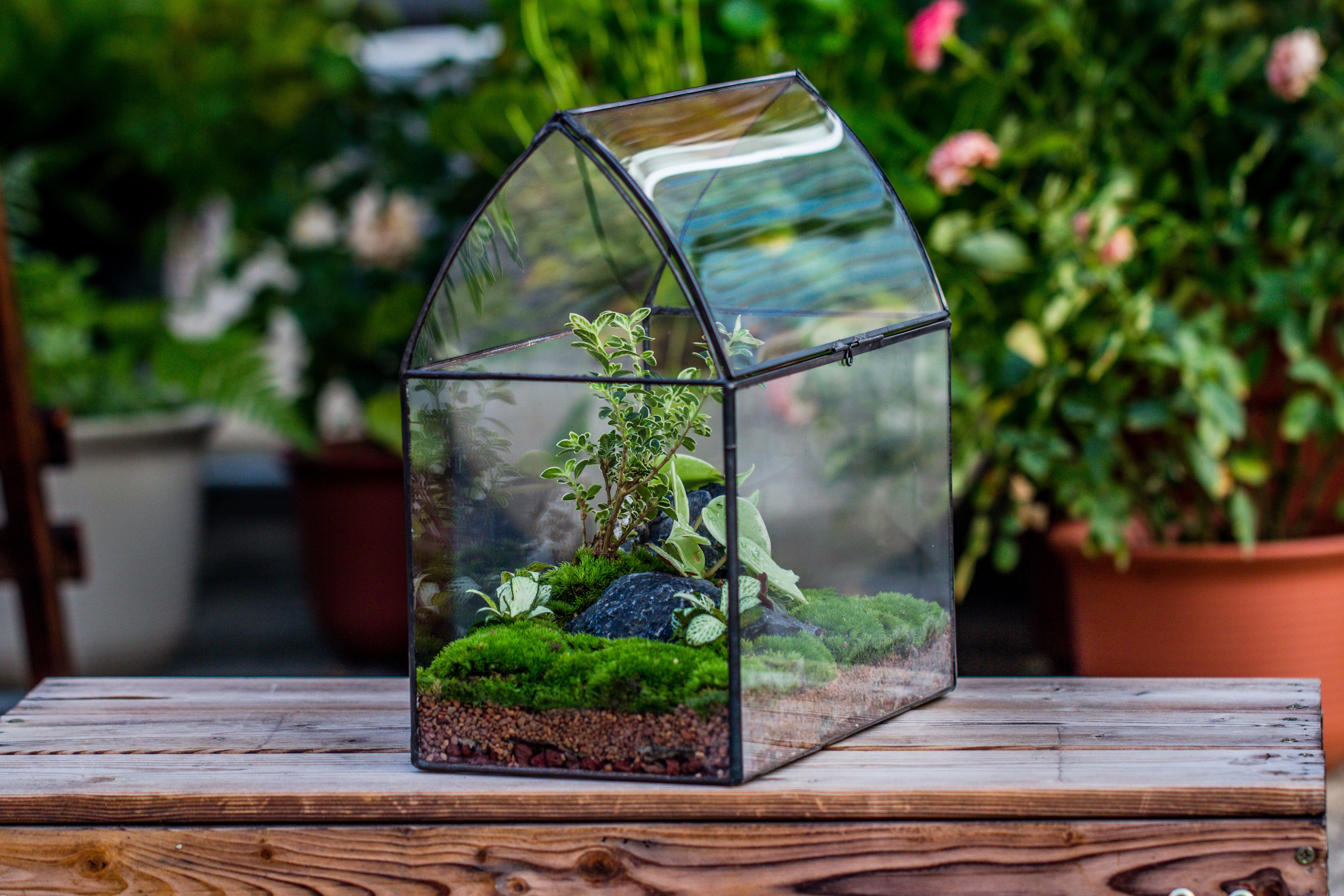 Handmade Unique Closed Terrarium with Arched Roof | HouseShape Closed Planter for Tropical Plants, Moss | Miniature Greenhouse Gift - NCYPgarden