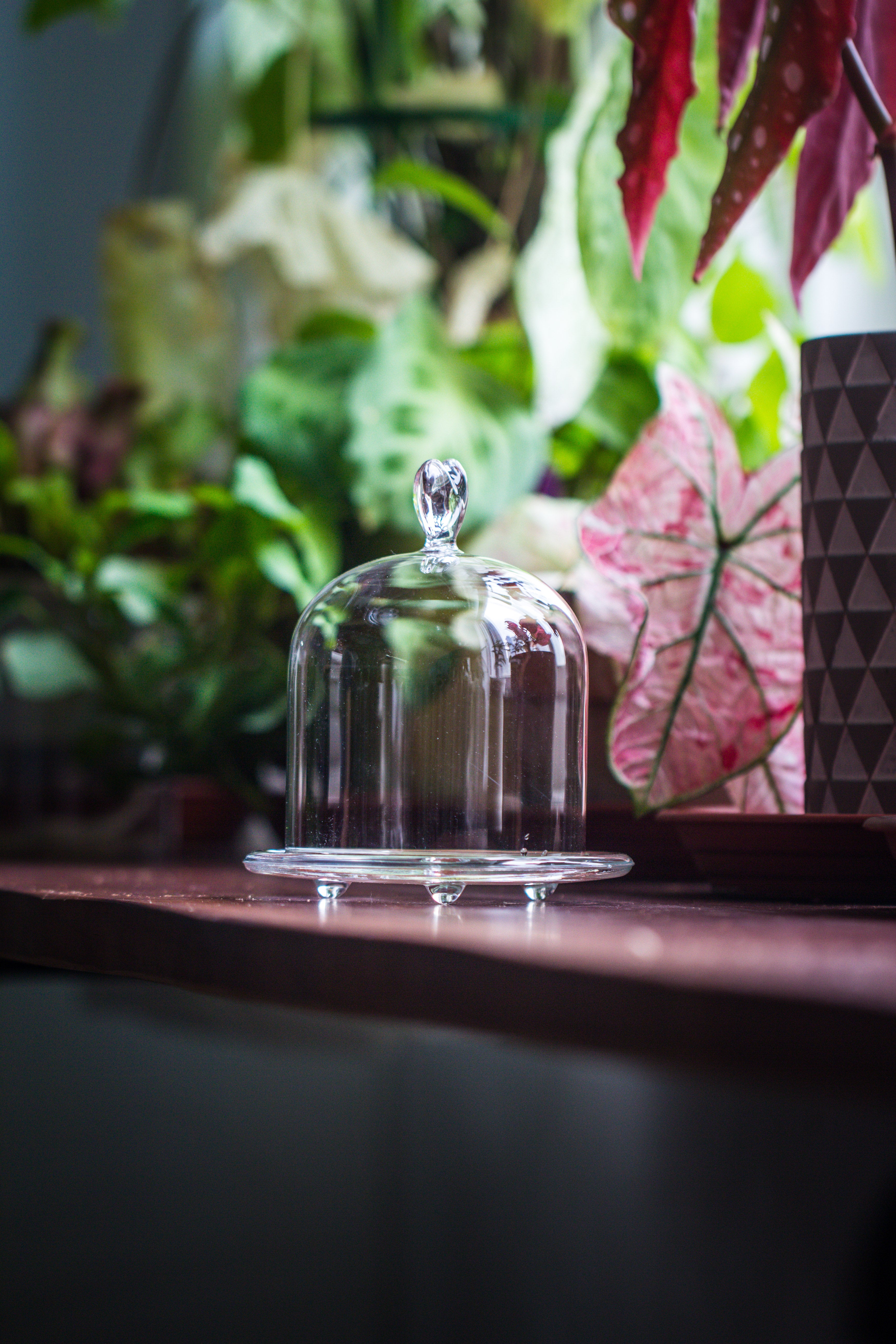 Heart Shape Tip Glass cloche with glass base and metal gold base set - NCYPgarden