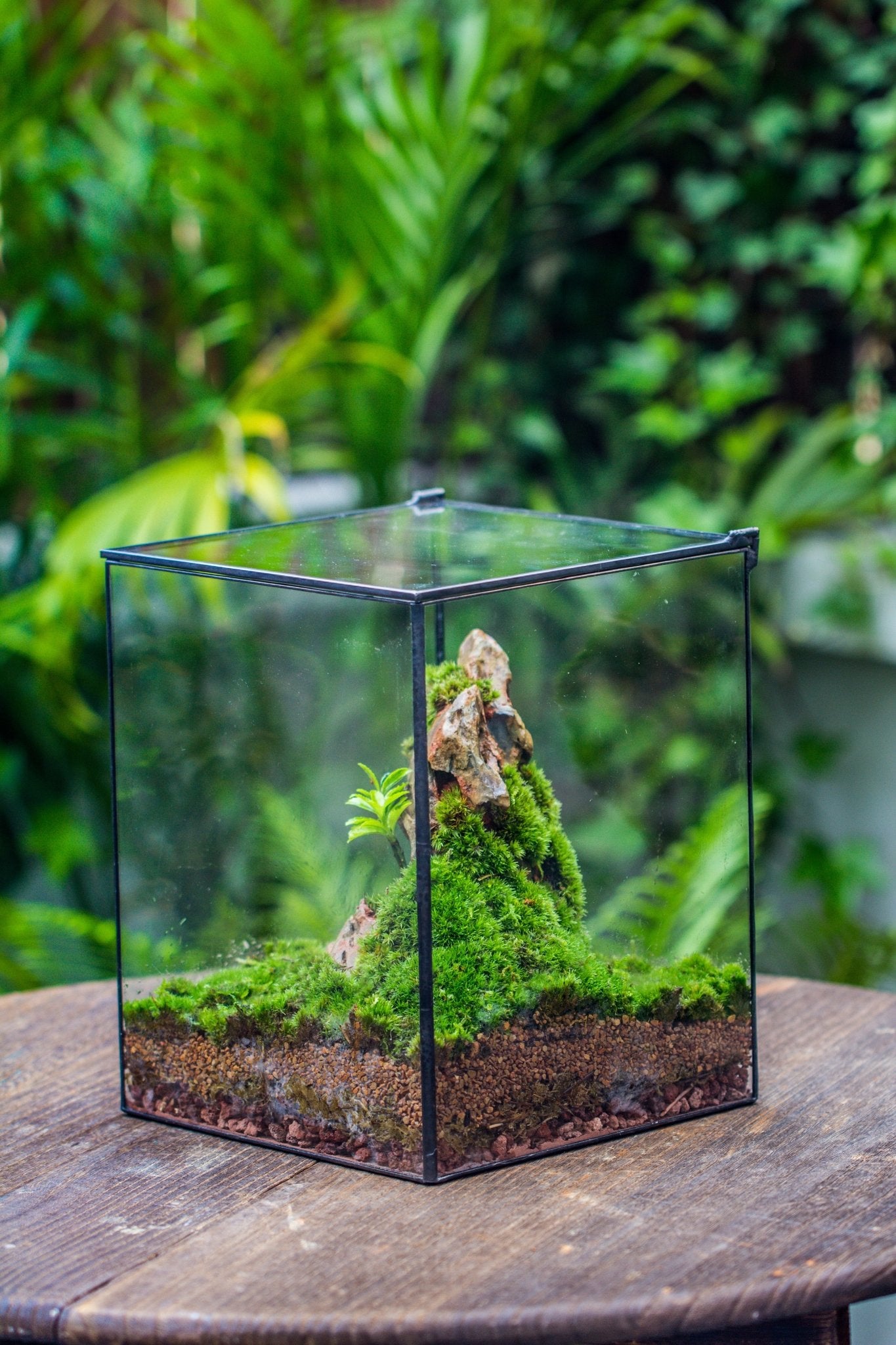 planter til terrarium NCYP Basic Rectangle Close Geometric Glass Tin Terrarium, Planter Multiple Size for Moss Wall, Fern, Landscape Multiple size, No plants 8x8x10 inches