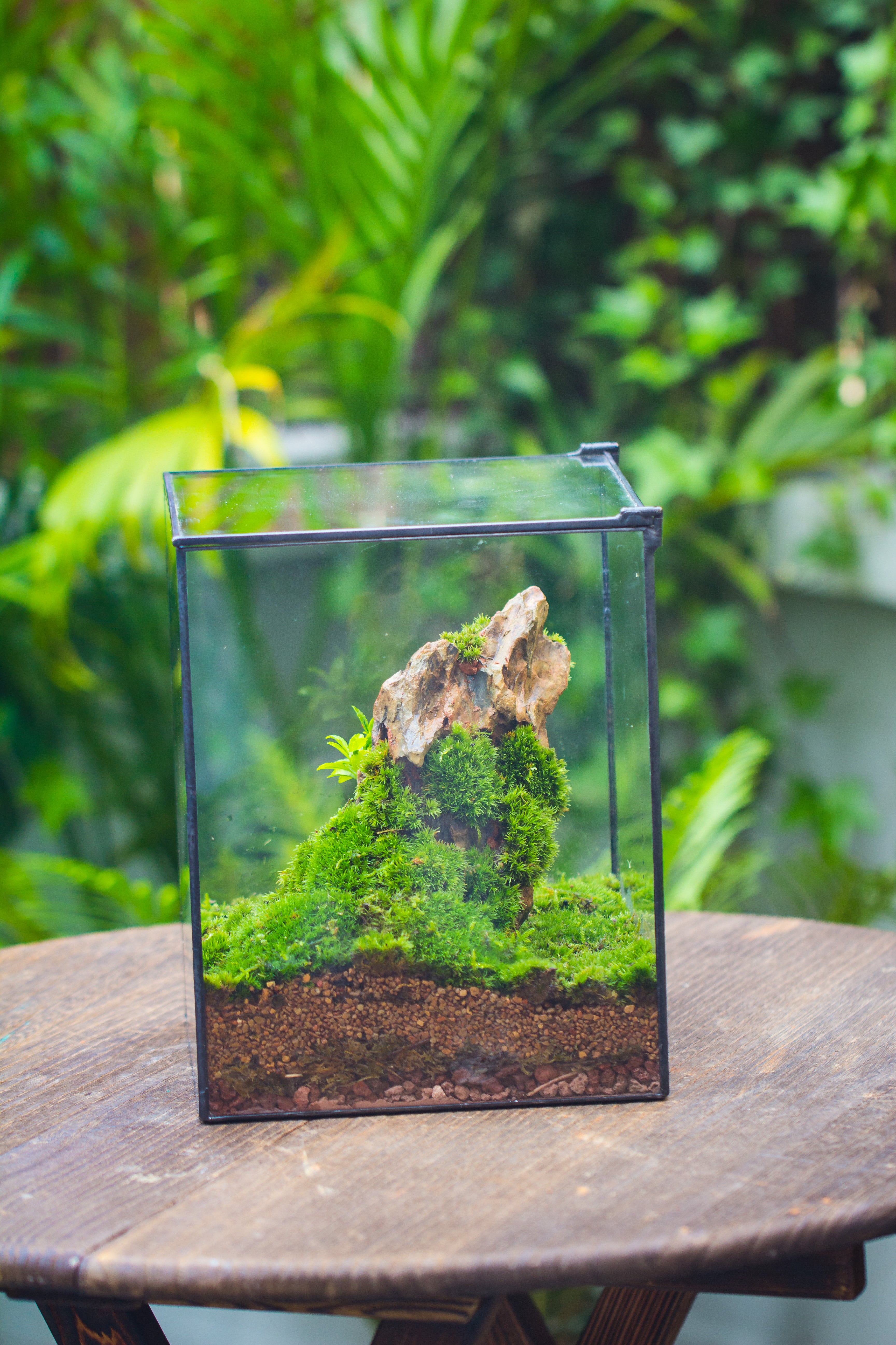 8x8x10" NCYP Basic Rectangle Close Geometric Glass Tin Terrarium, Planter for Moss Wall, Fern, Landscape, No plants - NCYPgarden