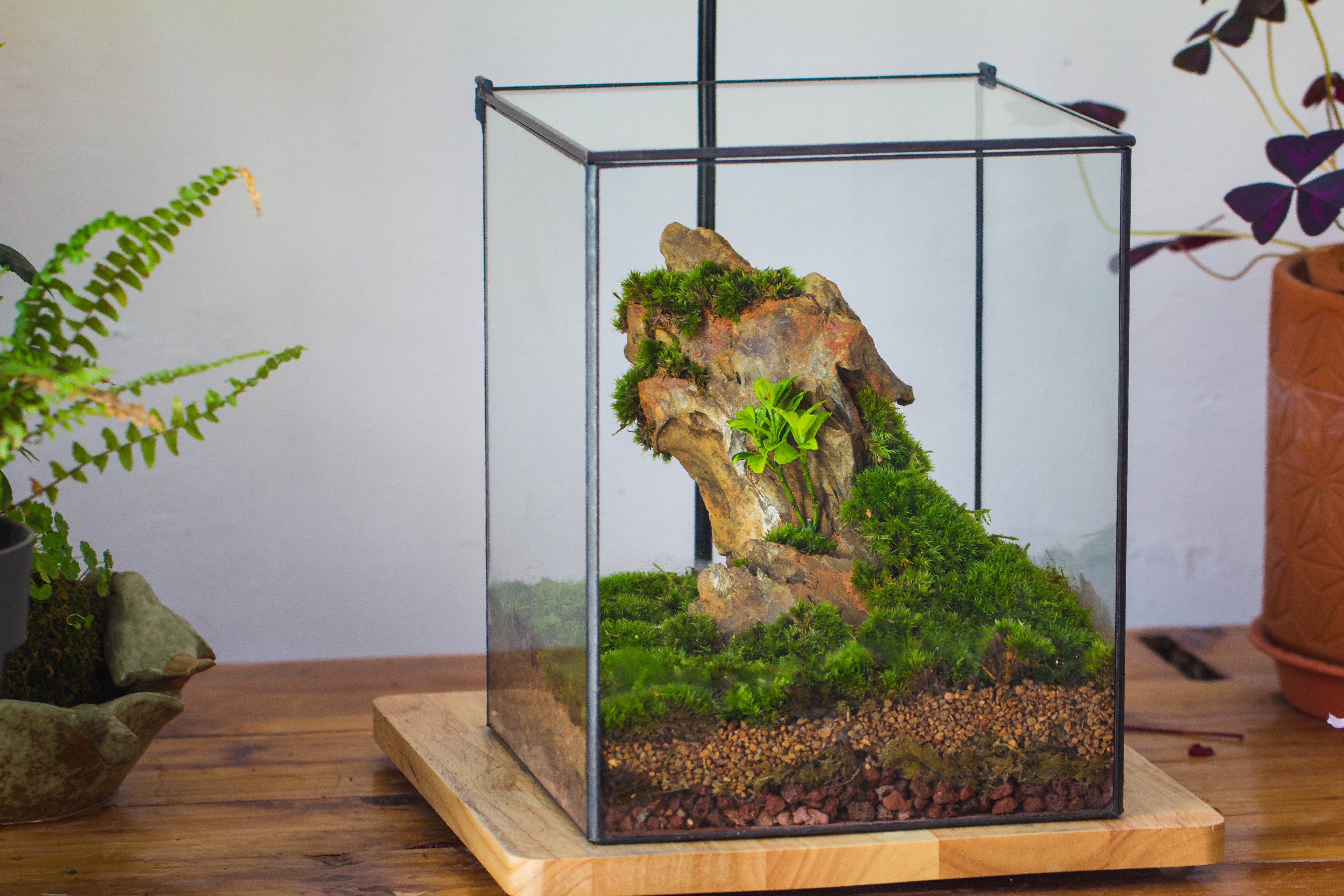 8x8x10" NCYP Basic Rectangle Close Geometric Glass Tin Terrarium, Planter for Moss Wall, Fern, Landscape, No plants - NCYPgarden