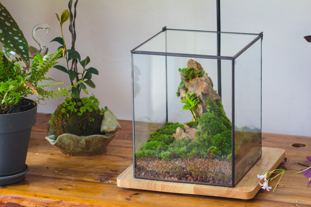 8x12 Close Geometric Glass Terrarium with Door, Tin Sealed Rectangle Tall  Planter for Moss Wall, Fern, Landscape multiple size, No plants