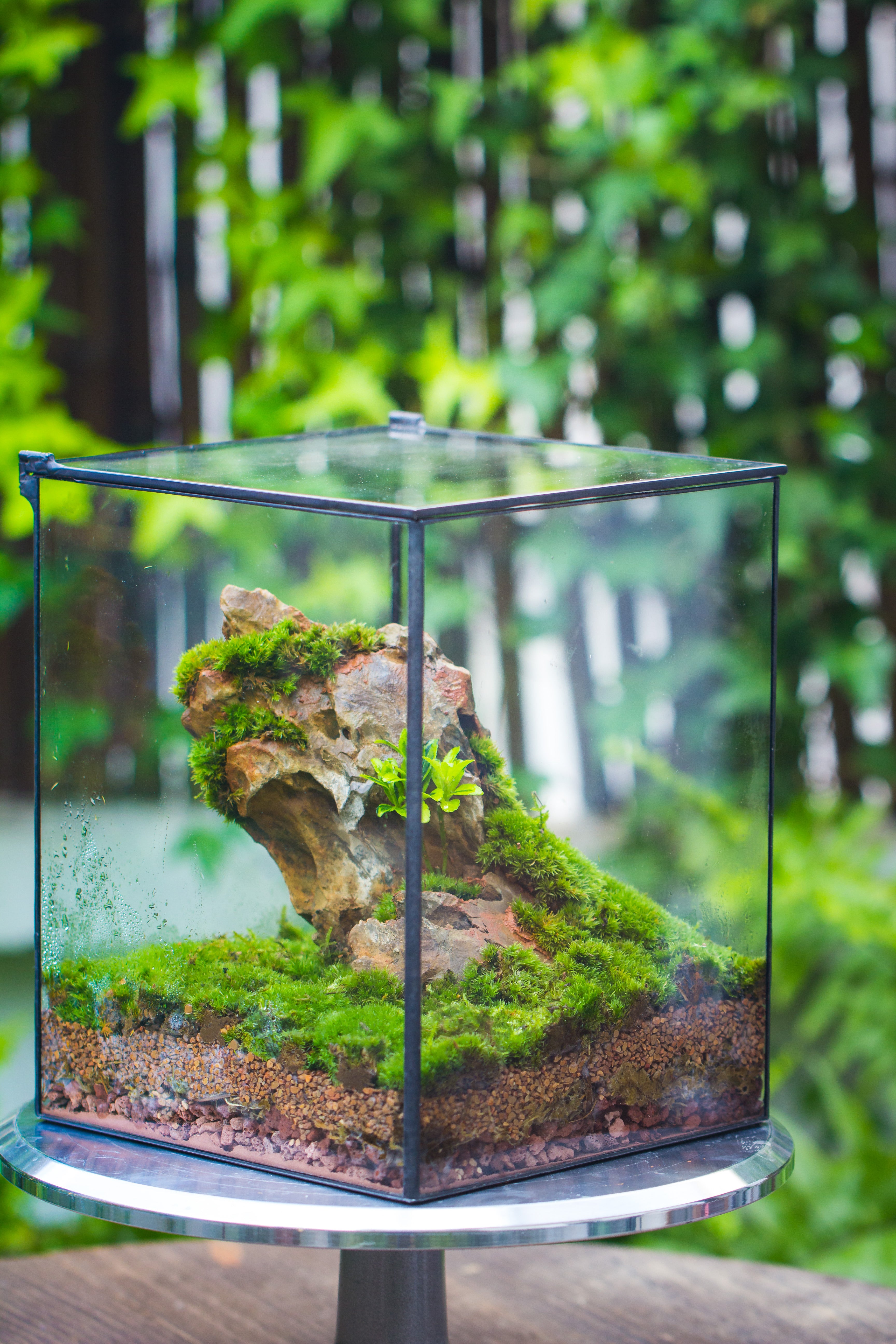 8x8x10" NCYP Basic Rectangle Close Geometric Glass Tin Terrarium, Planter for Moss Wall, Fern, Landscape, No plants - NCYPgarden