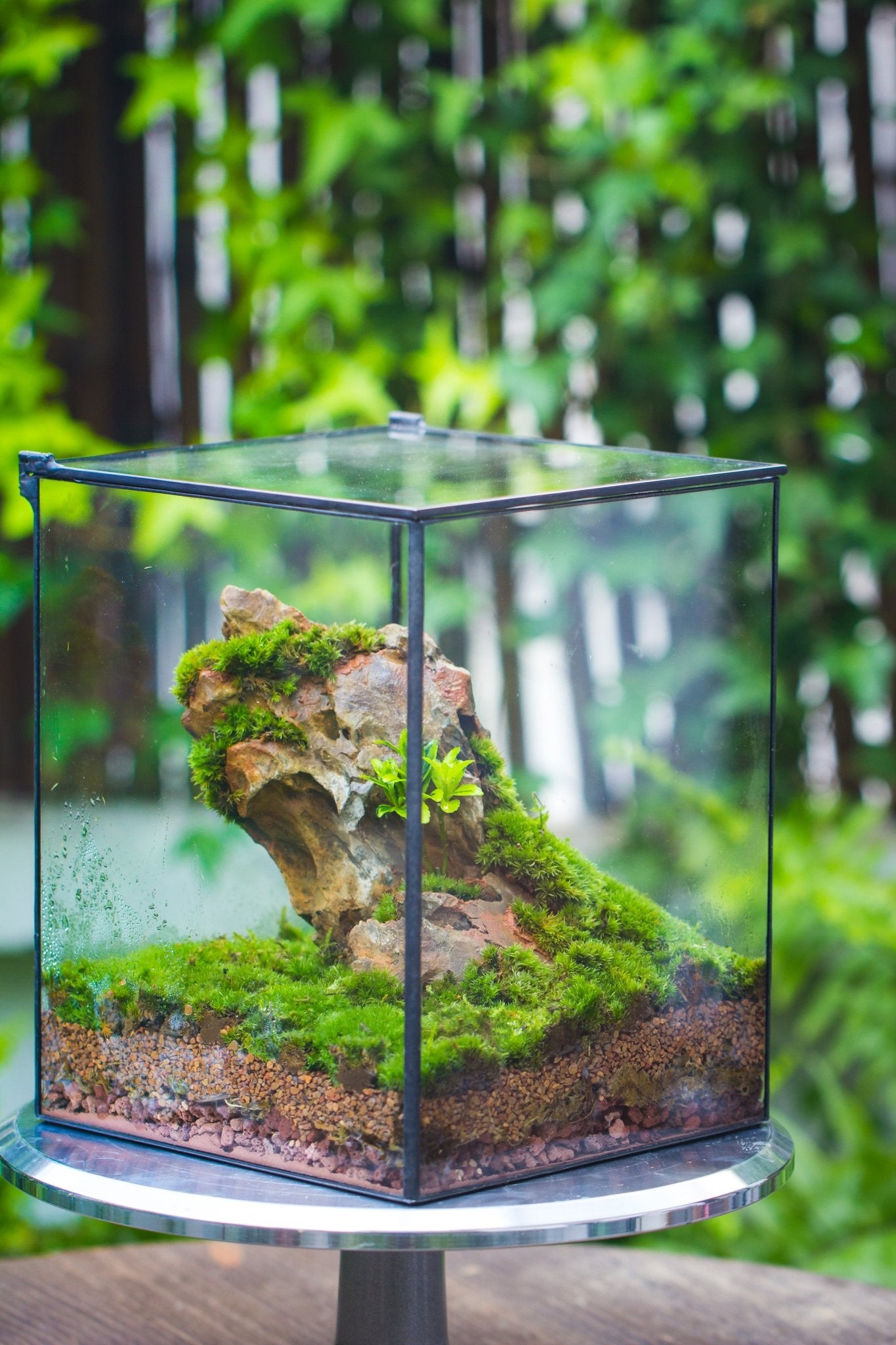 terrarium planter NCYP Basic Rectangle Close Geometric Glass Tin Terrarium, Planter Multiple Size for Moss Wall, Fern, Landscape Multiple size, No plants 8x8x10 inches