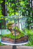 8x8x10" NCYP Basic Rectangle Close Geometric Glass Tin Terrarium, Planter for Moss Wall, Fern, Landscape, No plants - NCYPgarden