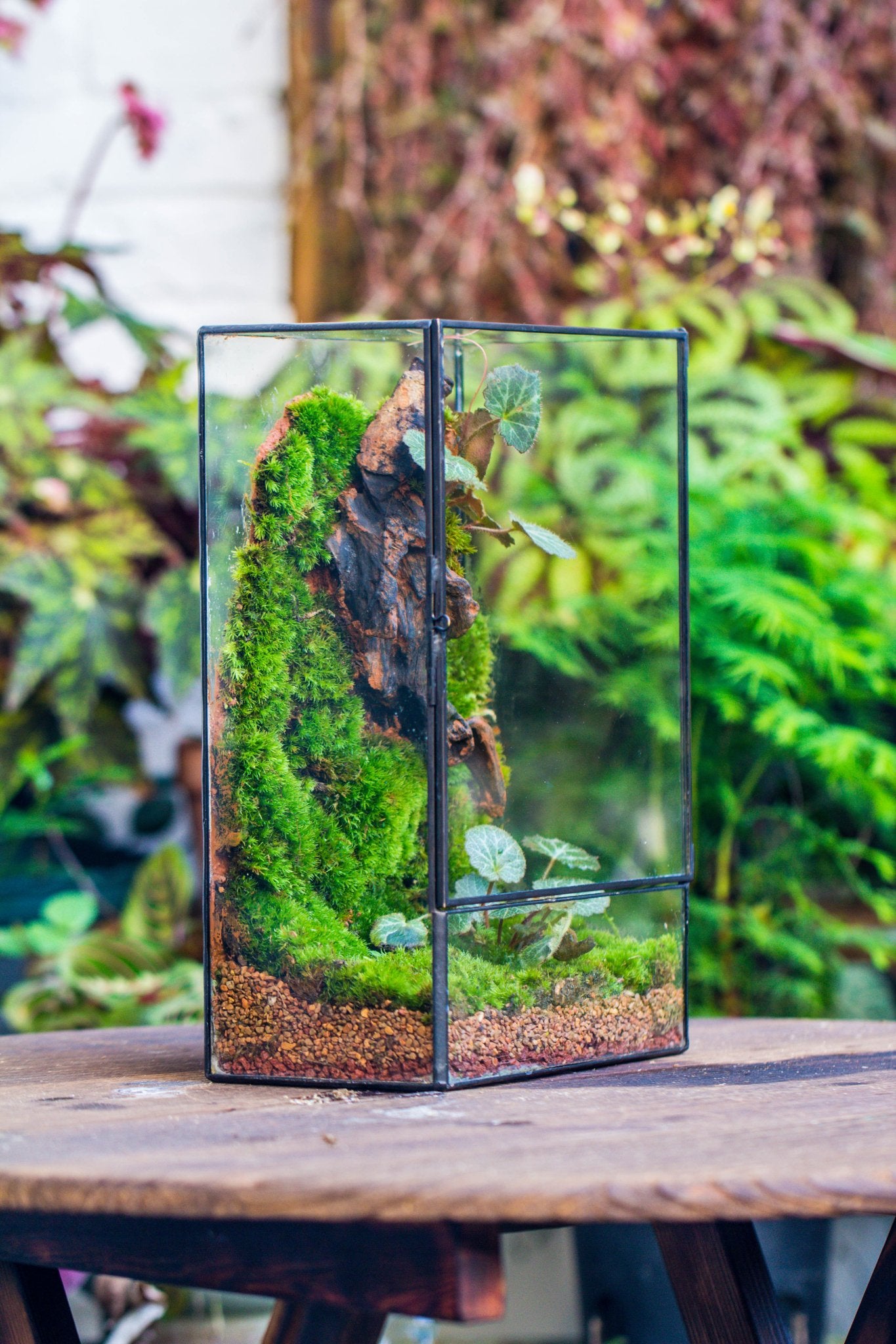 planter til terrarium 8x12" Close Geometric Glass Terrarium with Door, Tin Sealed Rectangle Tall Planter for Moss Wall, Fern, Landscape multiple size, No plants