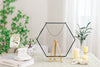 Wall Hanging Black Hexagon 12" Herbarium Brass Glass Frame for Thick Pressed Flowers, Dried Flowers, Poster, Coin, Double Glass, floating - NCYPgarden