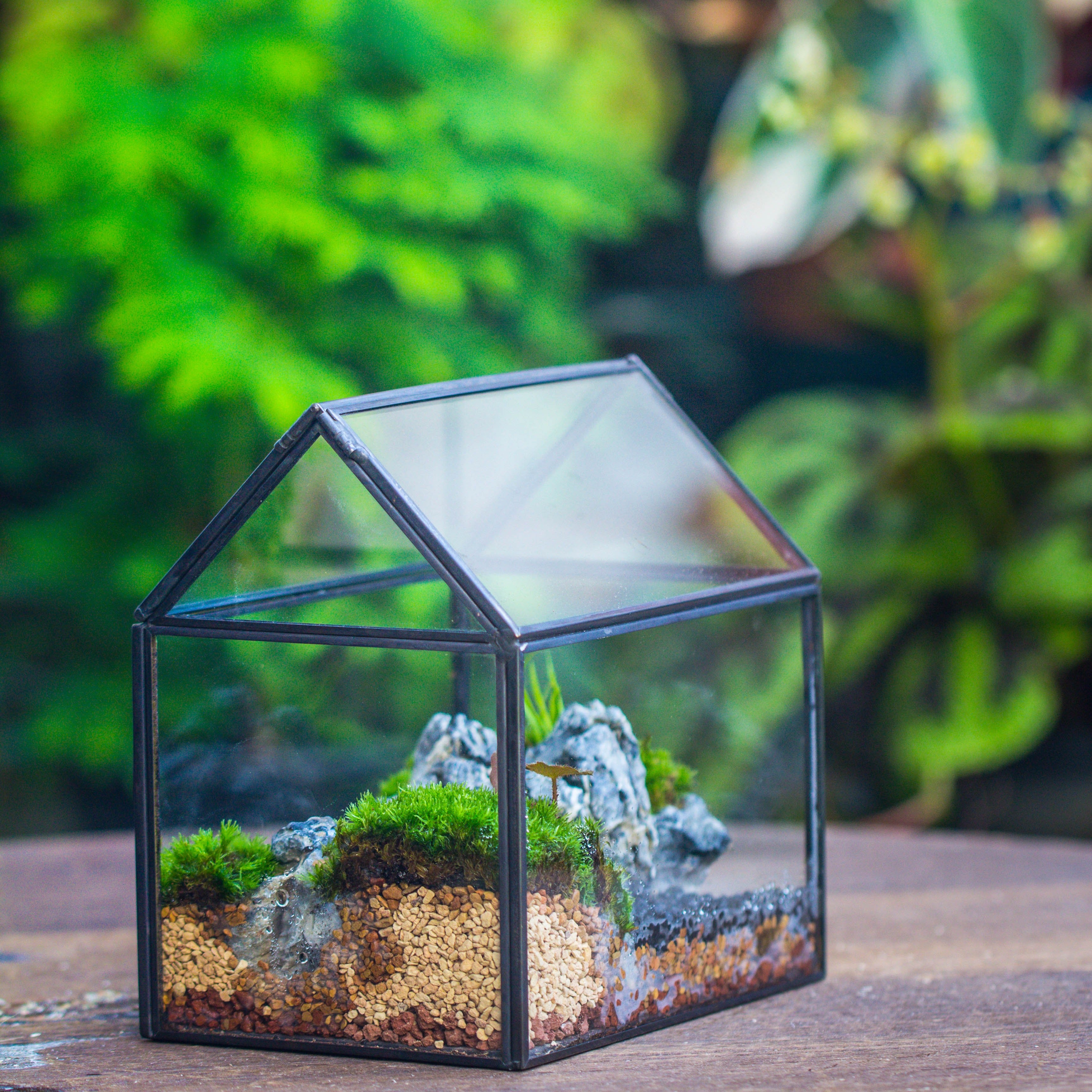 Handmade Black Copper House Shape Glass Geometric Terrarium Planter for Succulent Moss Airplants - NCYPgarden