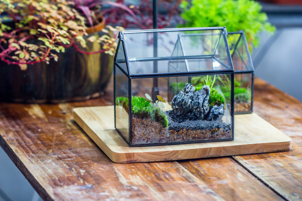 Handmade Black Copper House Shape Glass Geometric Terrarium Planter for Succulent Moss Airplants - NCYPgarden