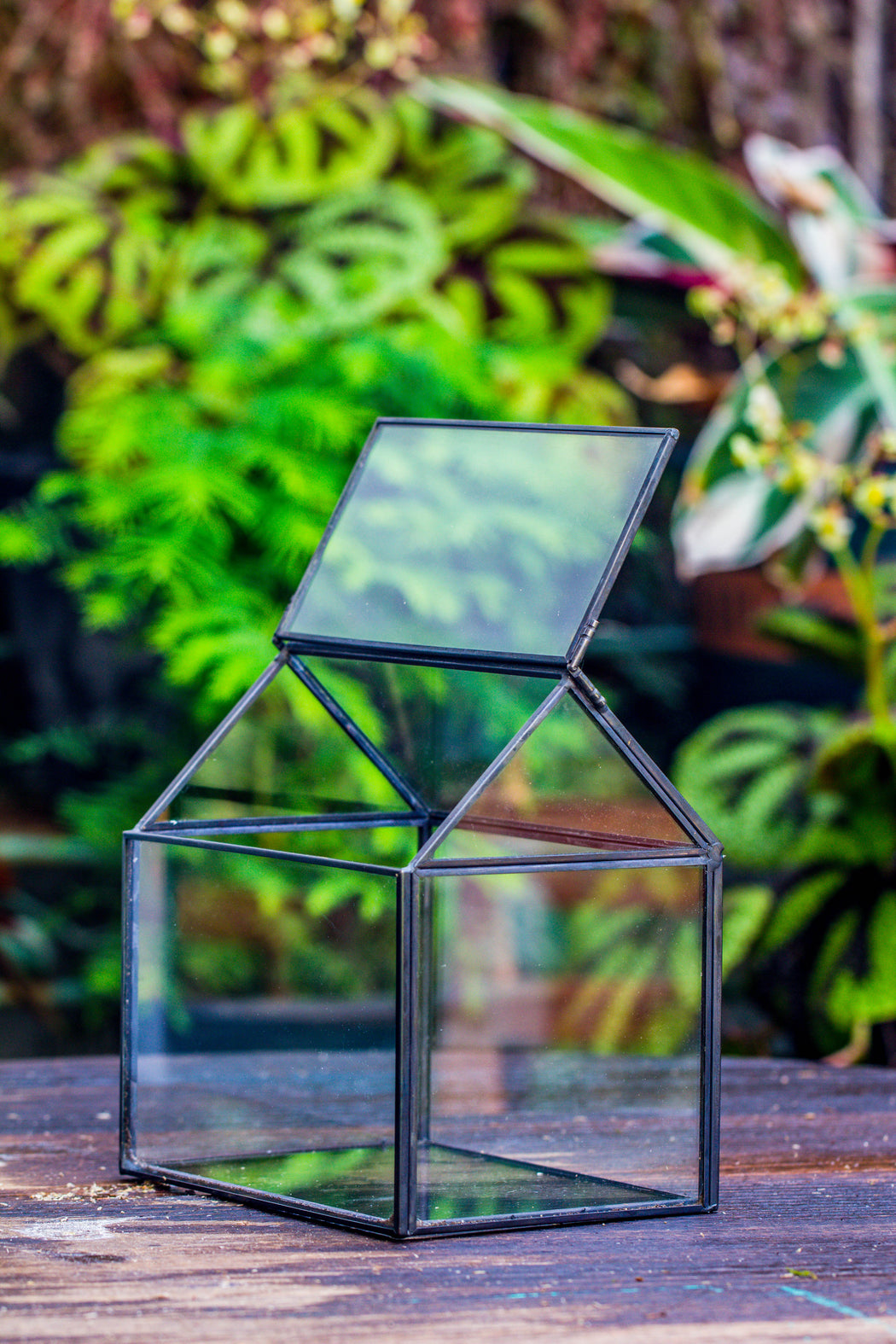 Handmade Black Copper House Shape Glass Geometric Terrarium Planter for Succulent Moss Airplants - NCYPgarden