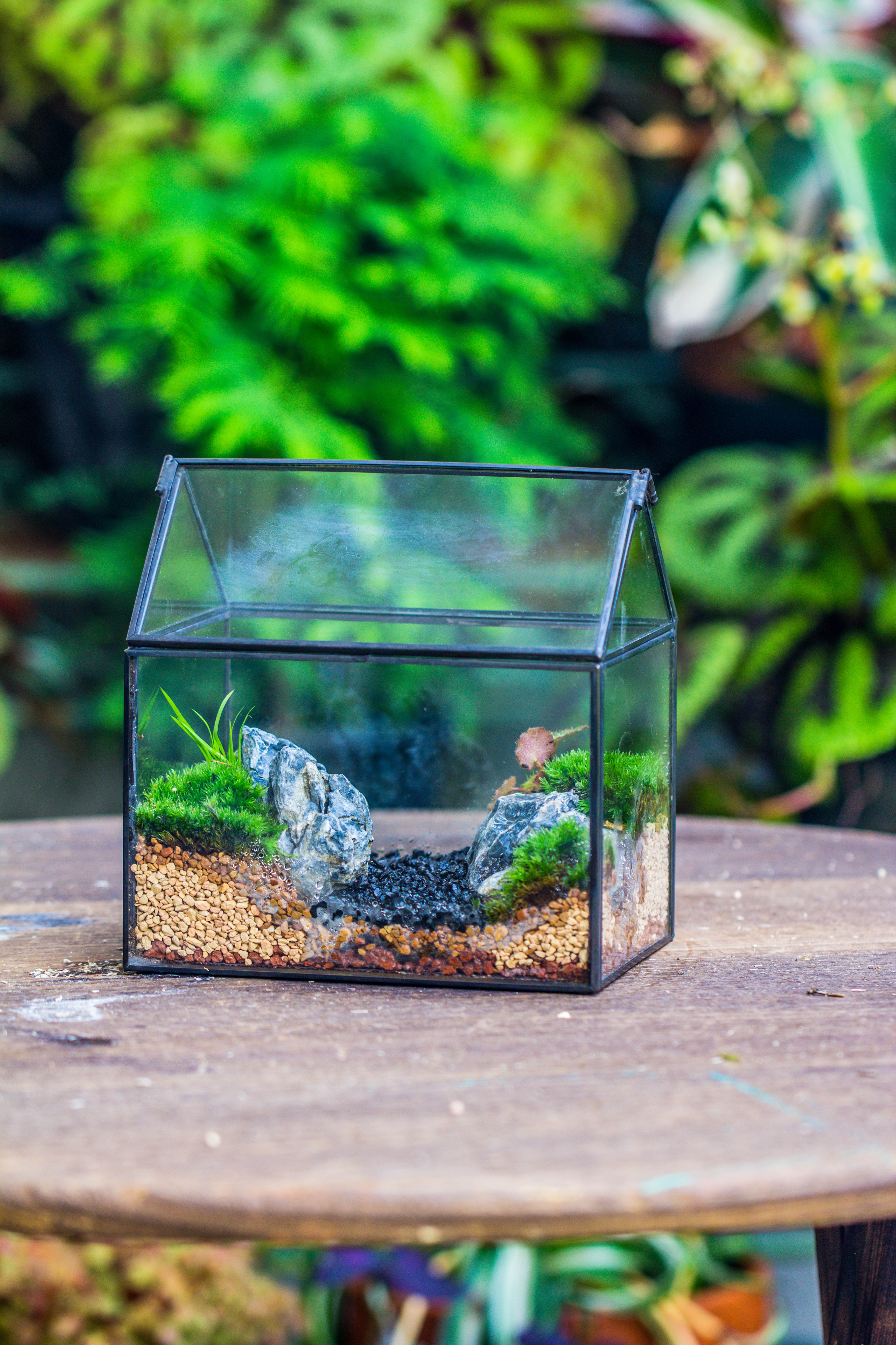 Handmade Black Copper House Shape Glass Geometric Terrarium Planter for Succulent Moss Airplants - NCYPgarden