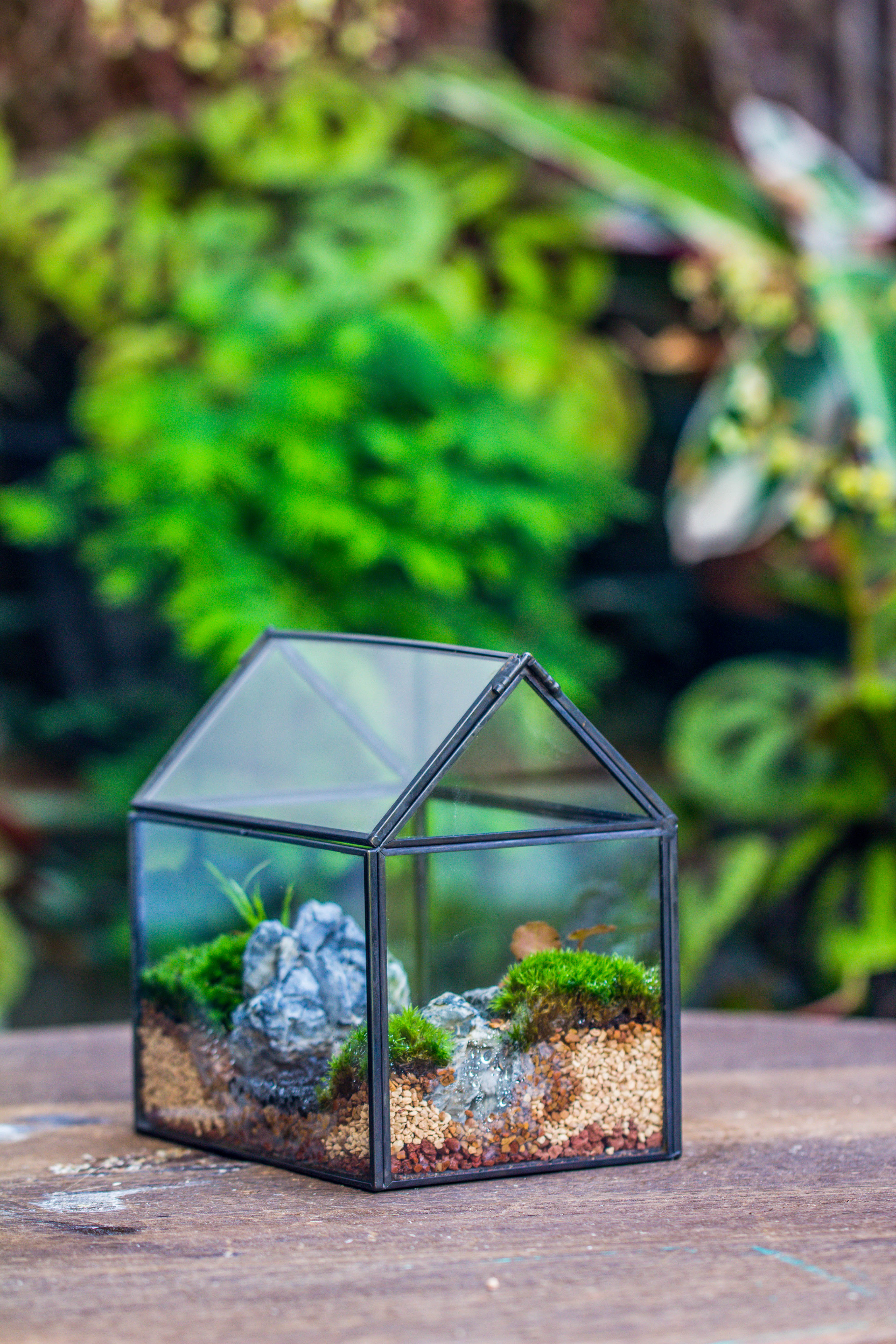 Handmade Black Copper House Shape Glass Geometric Terrarium Planter for Succulent Moss Airplants - NCYPgarden