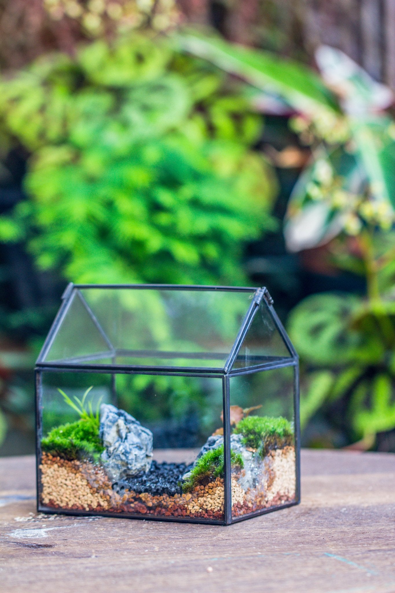house shaped planter Handmade Black Copper House Shape Glass Geometric Terrarium Planter for Succulent Moss Airplants PH05F1