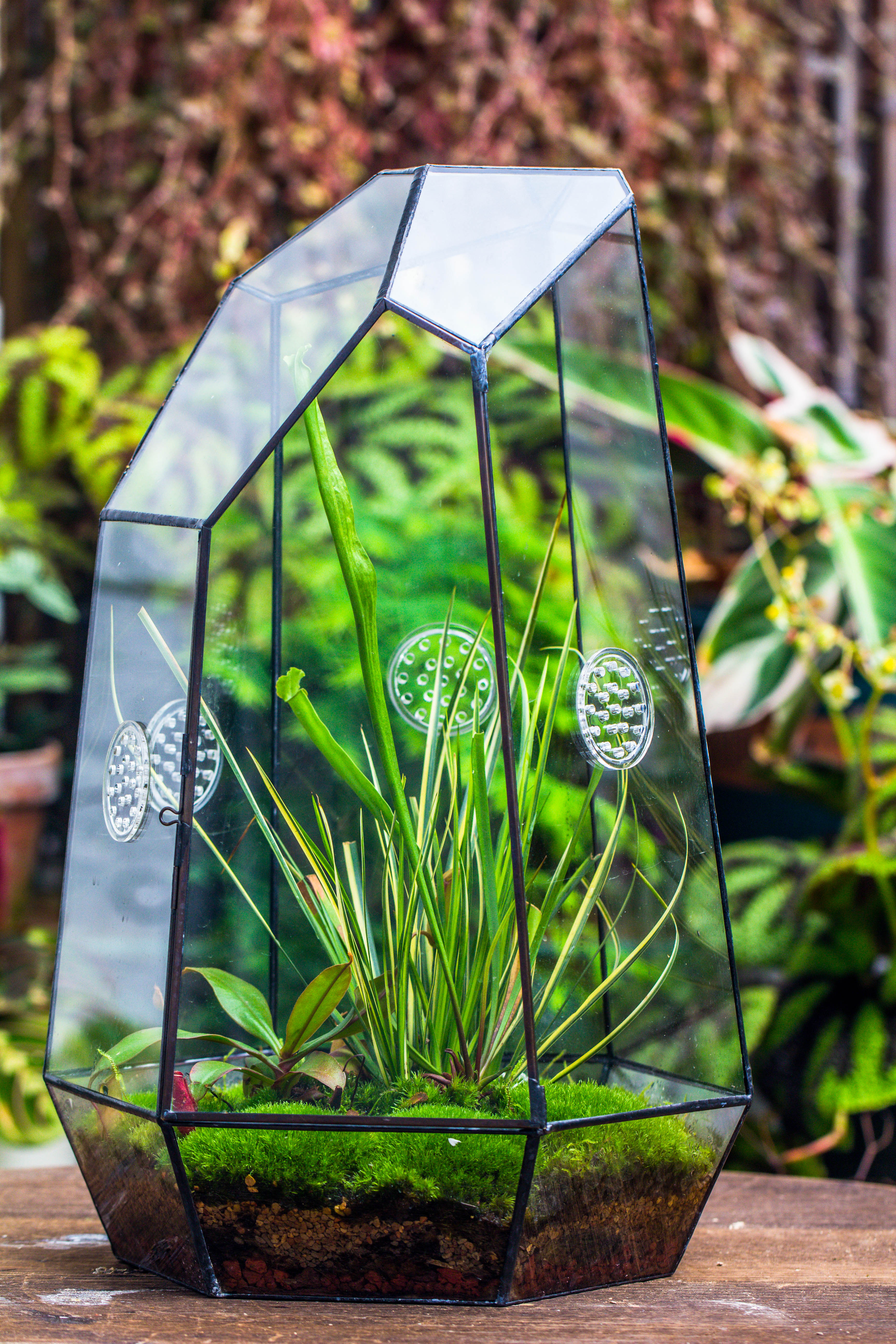 Handmade 41cm / 16" Tall IrregularGlass Geometric Terrarium Box with Vent - NCYPgarden