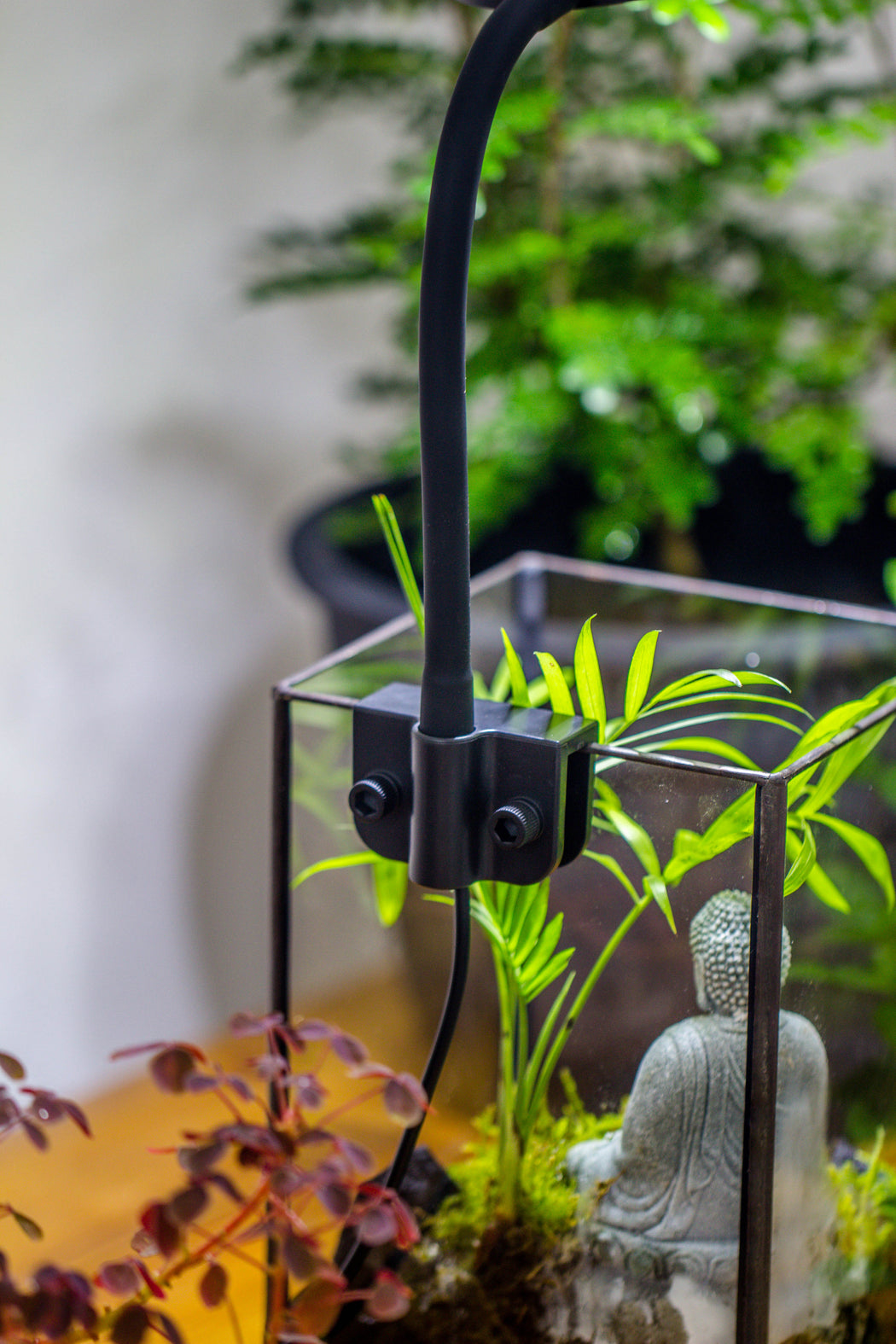 NCYP Clip Grow LED Light, gooseneck, USB, 10W, Display, Adjustable, for Succulents, Open Terrarium, Fish Tank, Moss, Fern, Tropical Plants - NCYPgarden