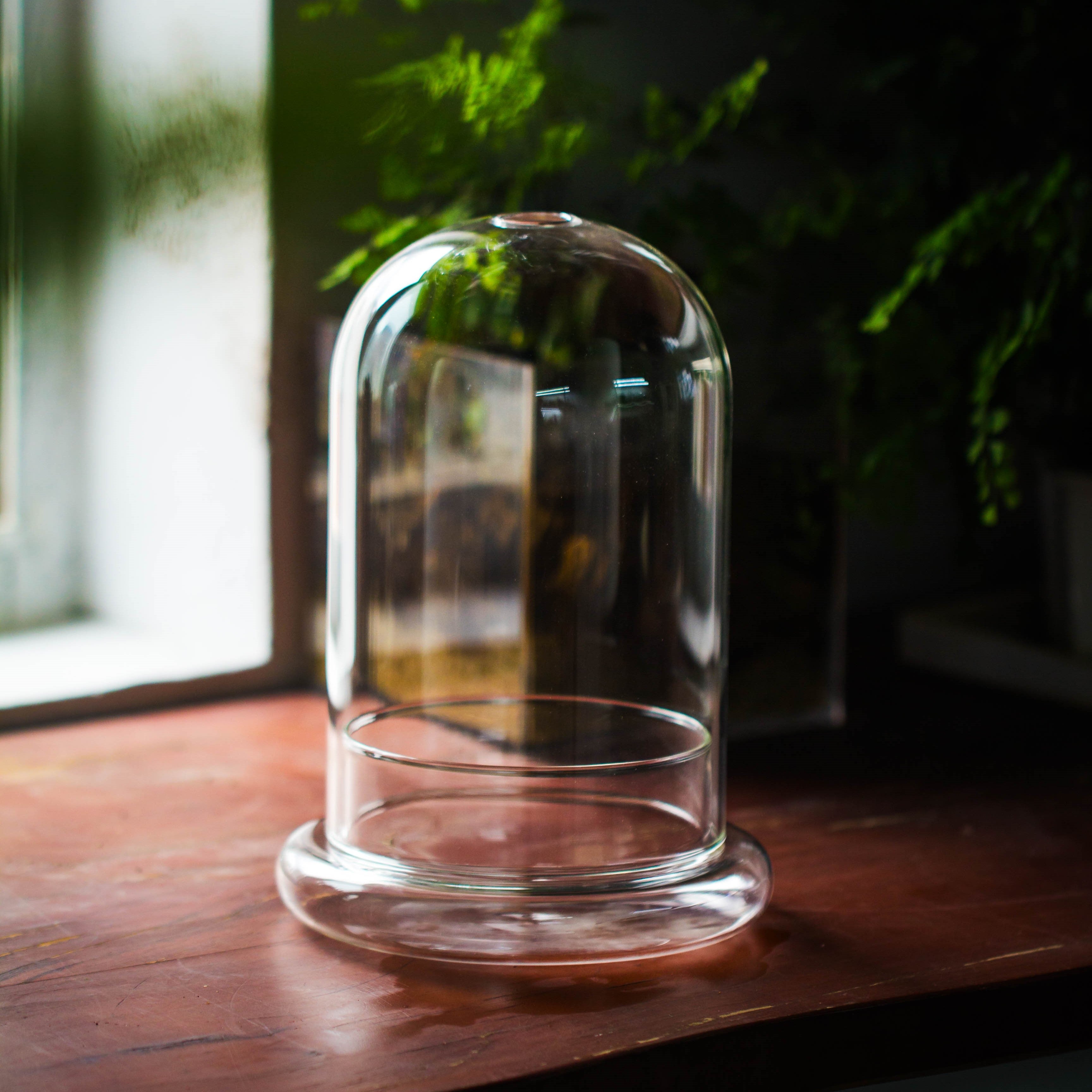 Glass Cloche Terrarium Bell Jar with Glass Base with Top Air Hole,Glass Dome Planter for Plants - NCYPgarden
