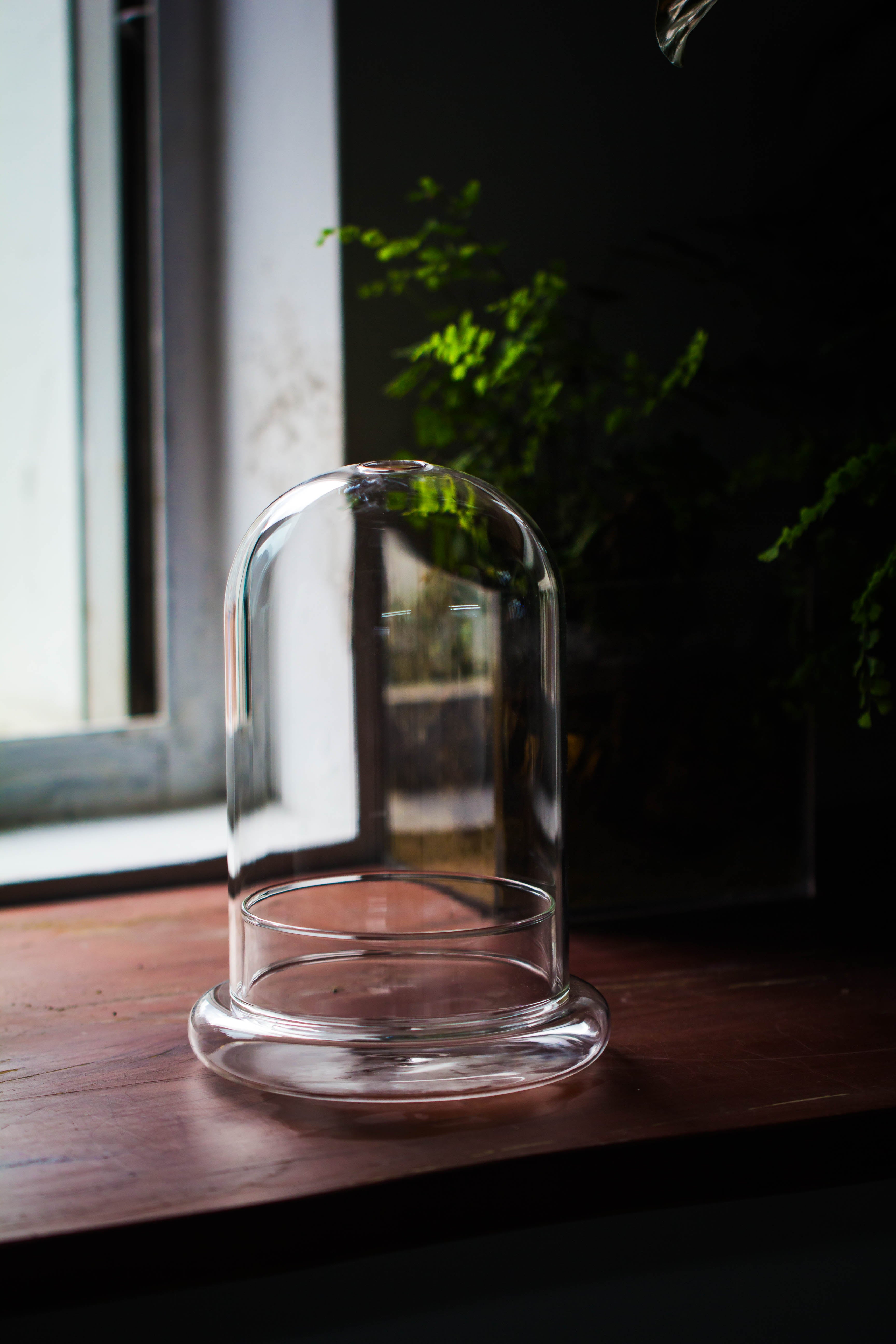 Glass Cloche Terrarium Bell Jar with Glass Base with Top Air Hole,Glass Dome Planter for Plants - NCYPgarden