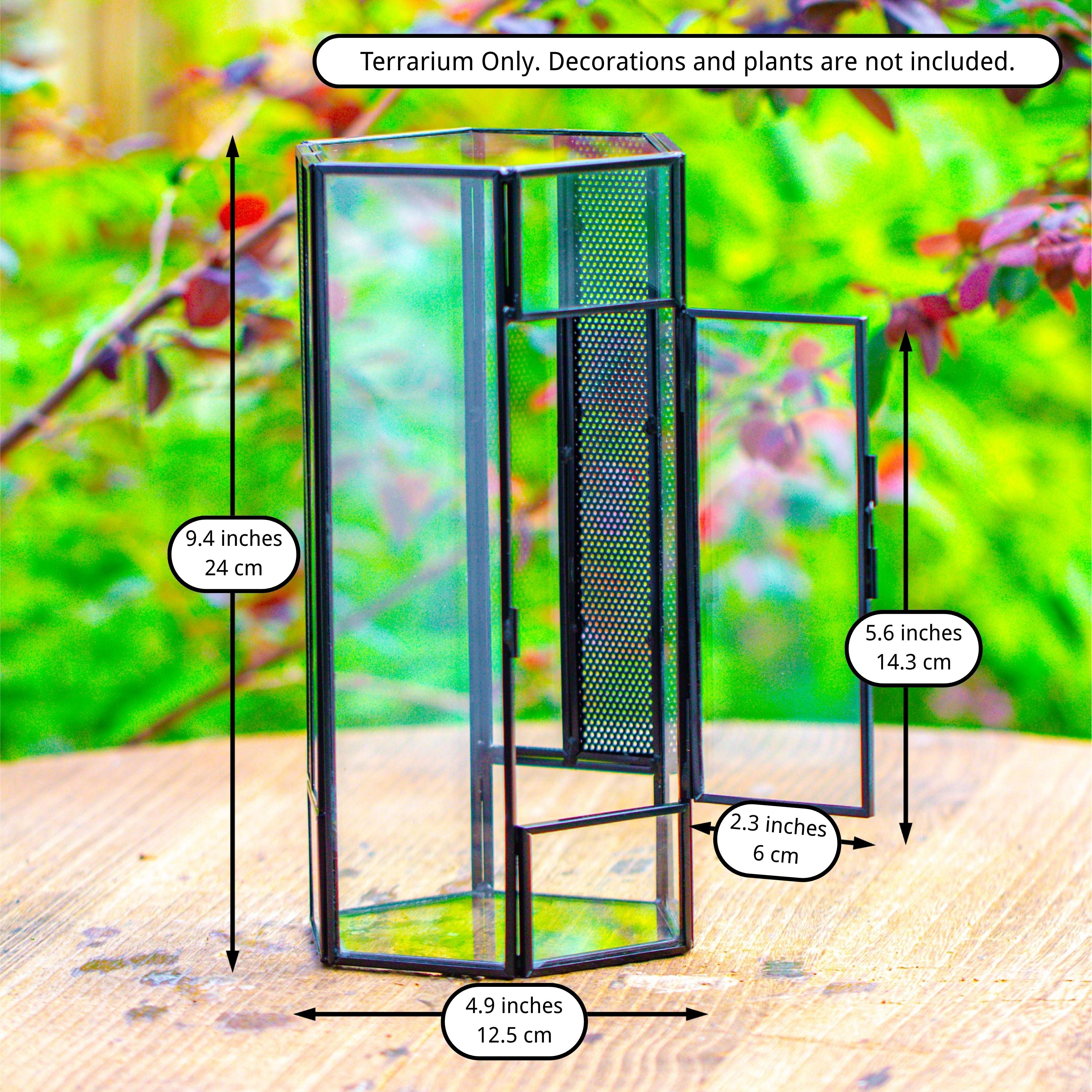 NCYP Tall Hexagon Mimi  Geometric Terrarium for Spiders and small Insects - NCYPgarden