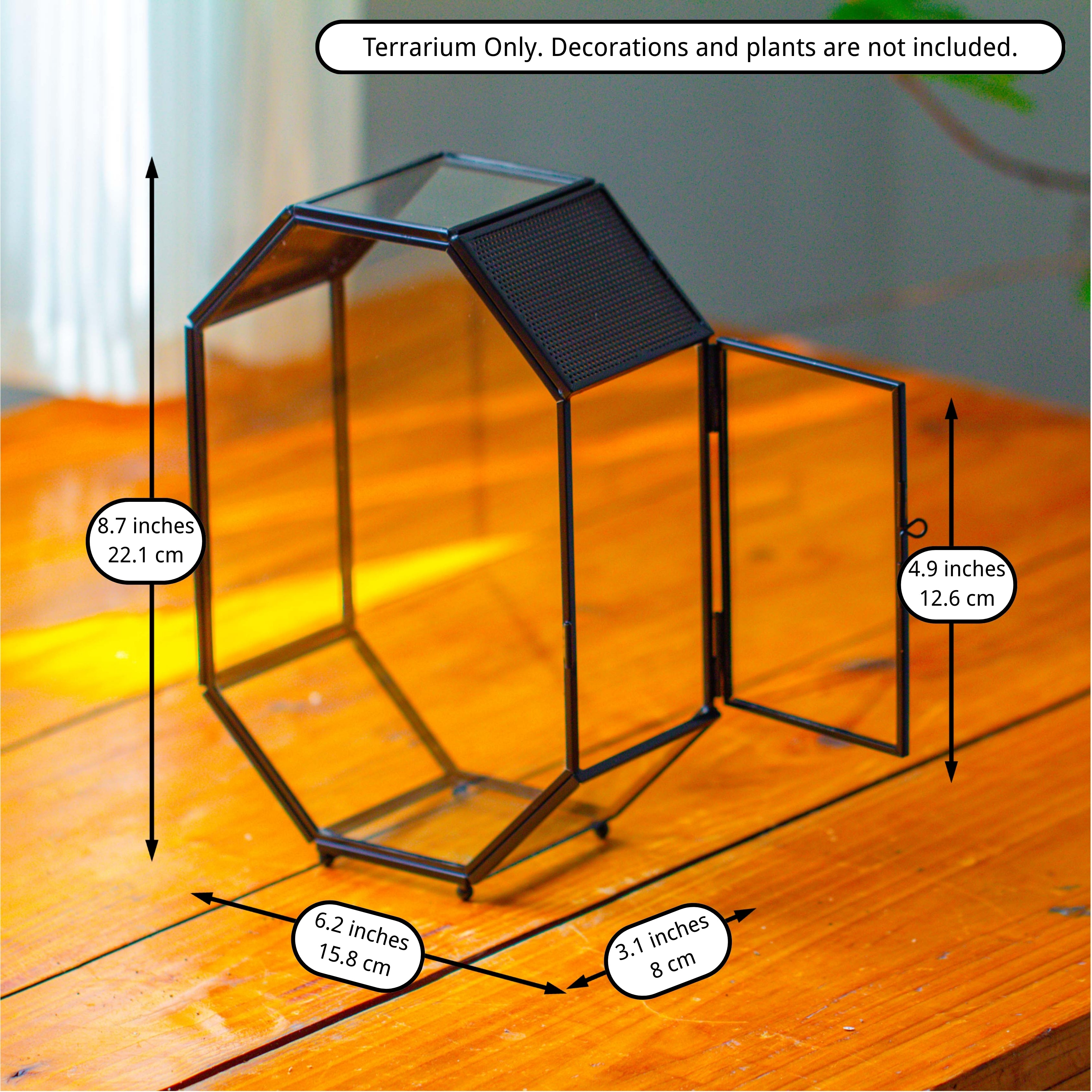 NCYP Octagon 6x8 inches Geometric Terrarium with vents for small insects - NCYPgarden