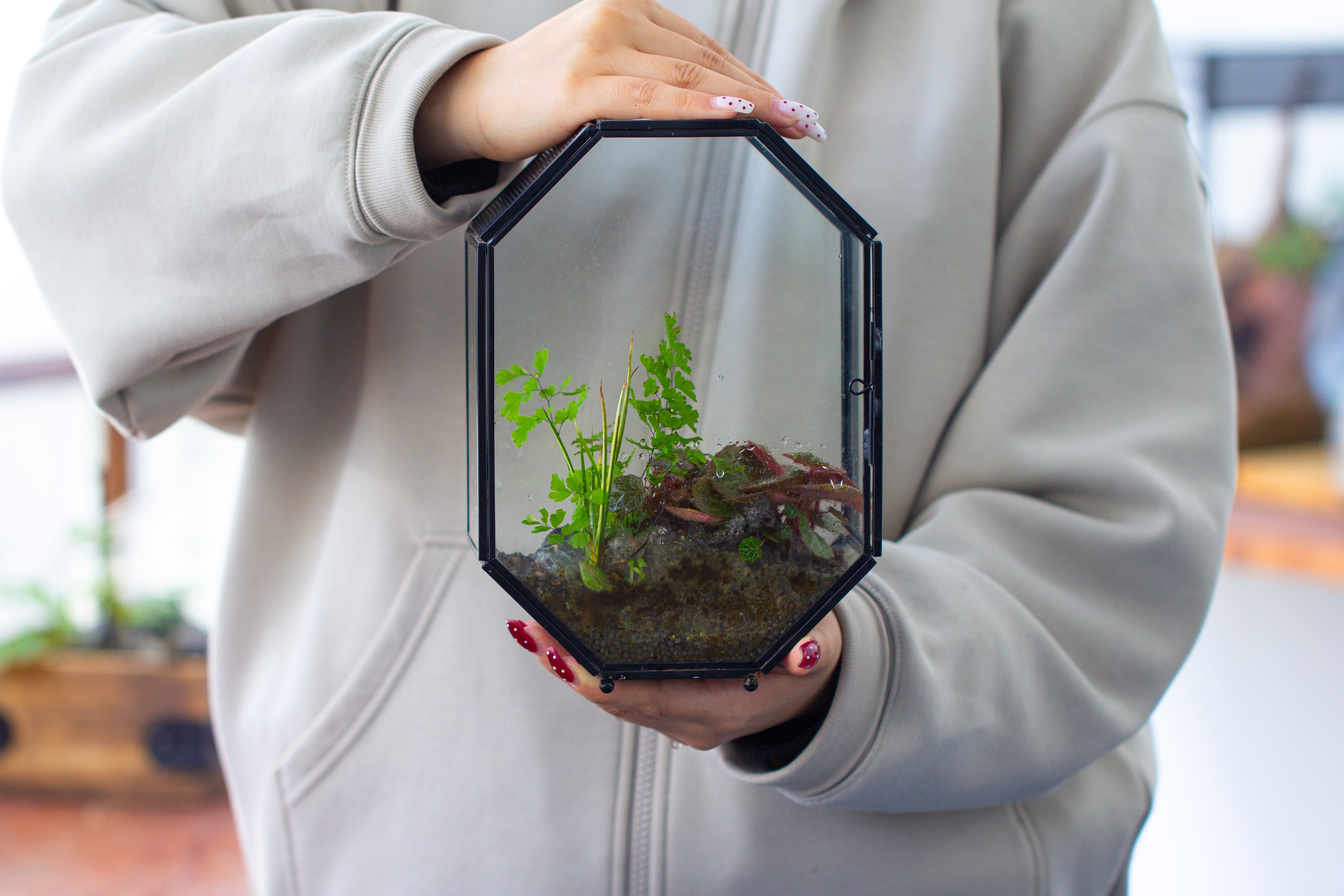 NCYP Octagon 6x8 inches Geometric Terrarium with vents for small insects - NCYPgarden