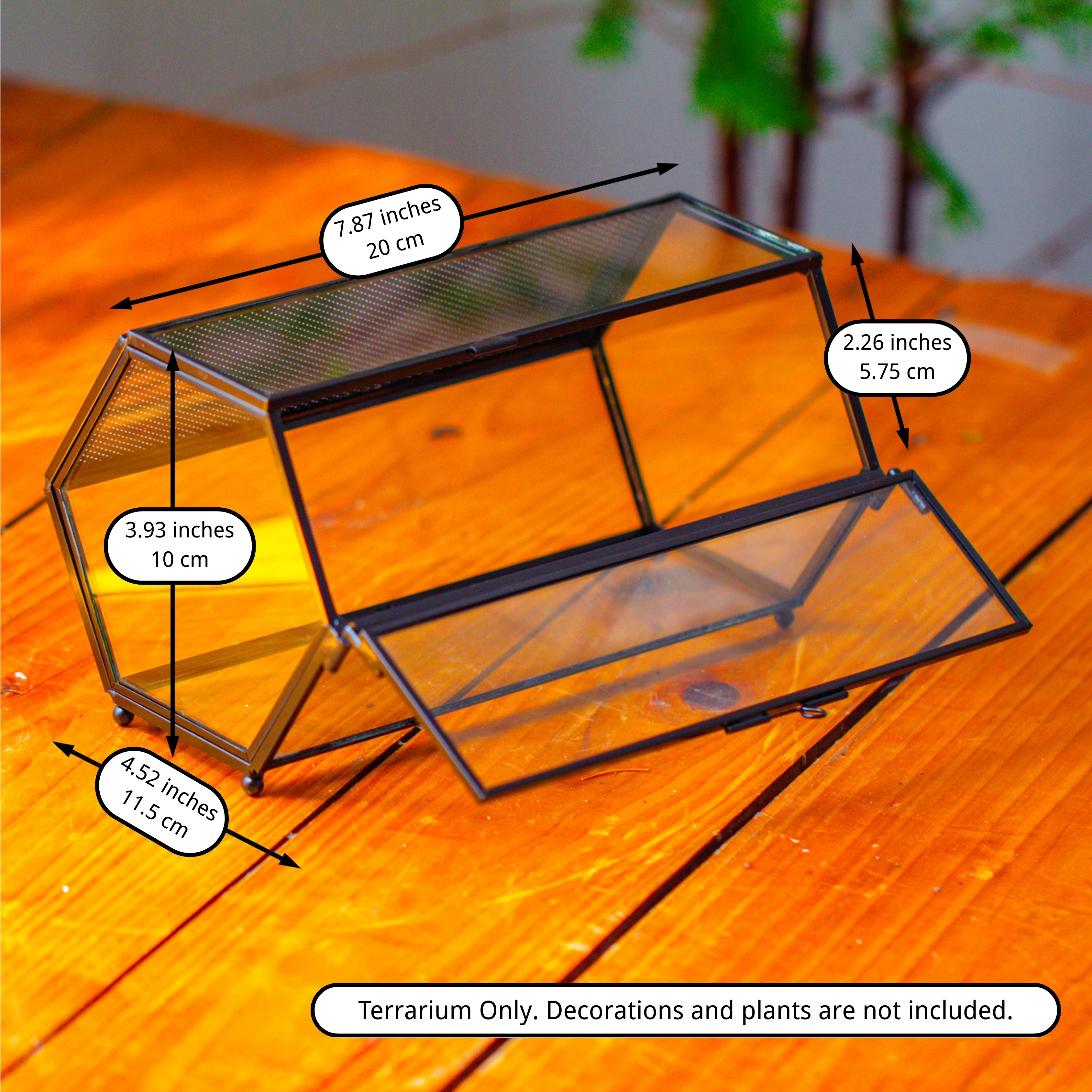 NCYP Long Hexagon Mimi  Geometric Terrarium for Spiders and small Insects - NCYPgarden