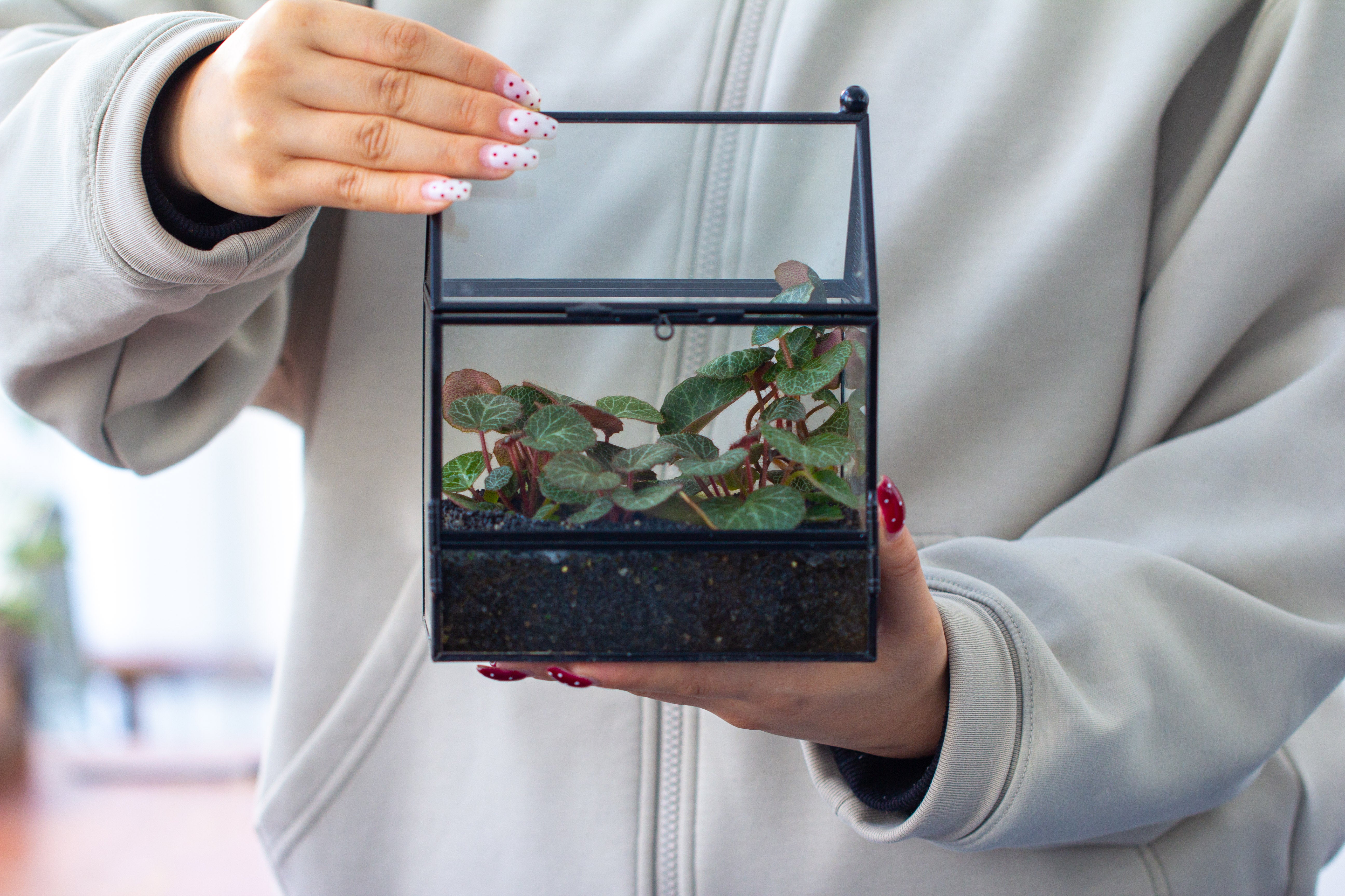 Simplified Mini House Shape Glass Geometric Terrarium for Jumping spider - NCYPgarden