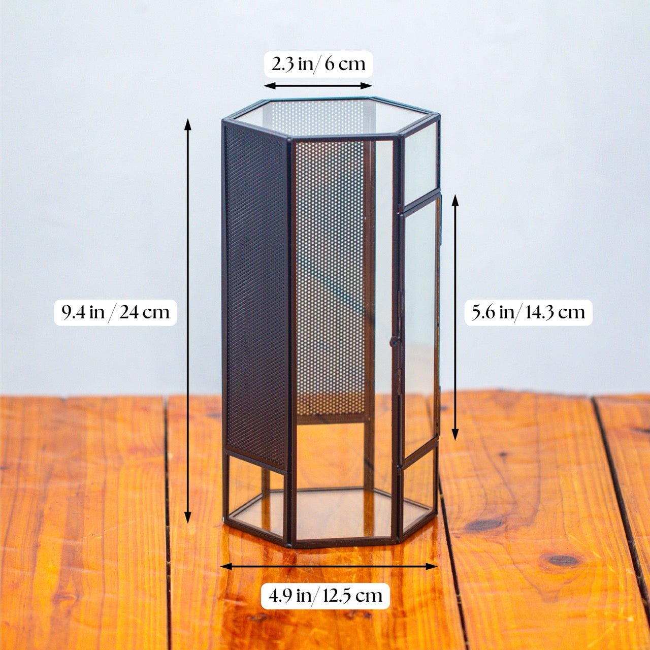 NCYP Tall Large Hexagon Geometric Terrarium with large vent panels SX02E2 - NCYPgarden